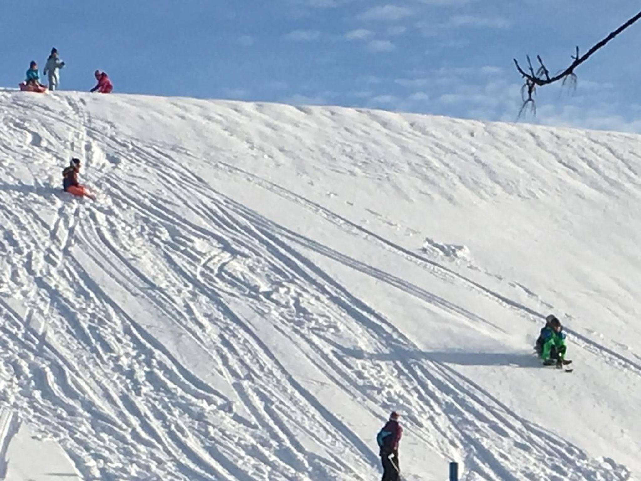 Alpakahof Ferien-Dehors