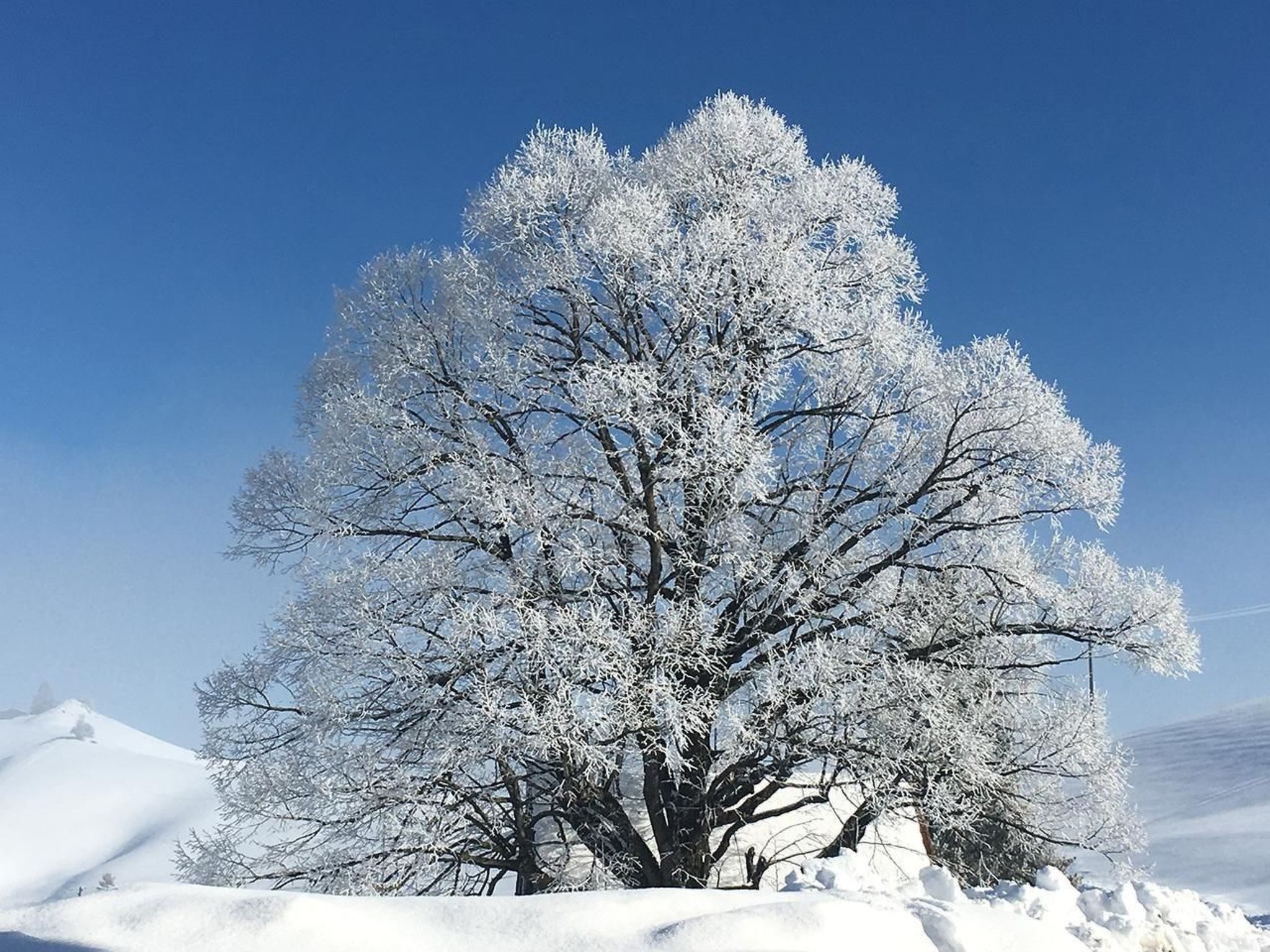 Alpakahof Ferien-Dehors