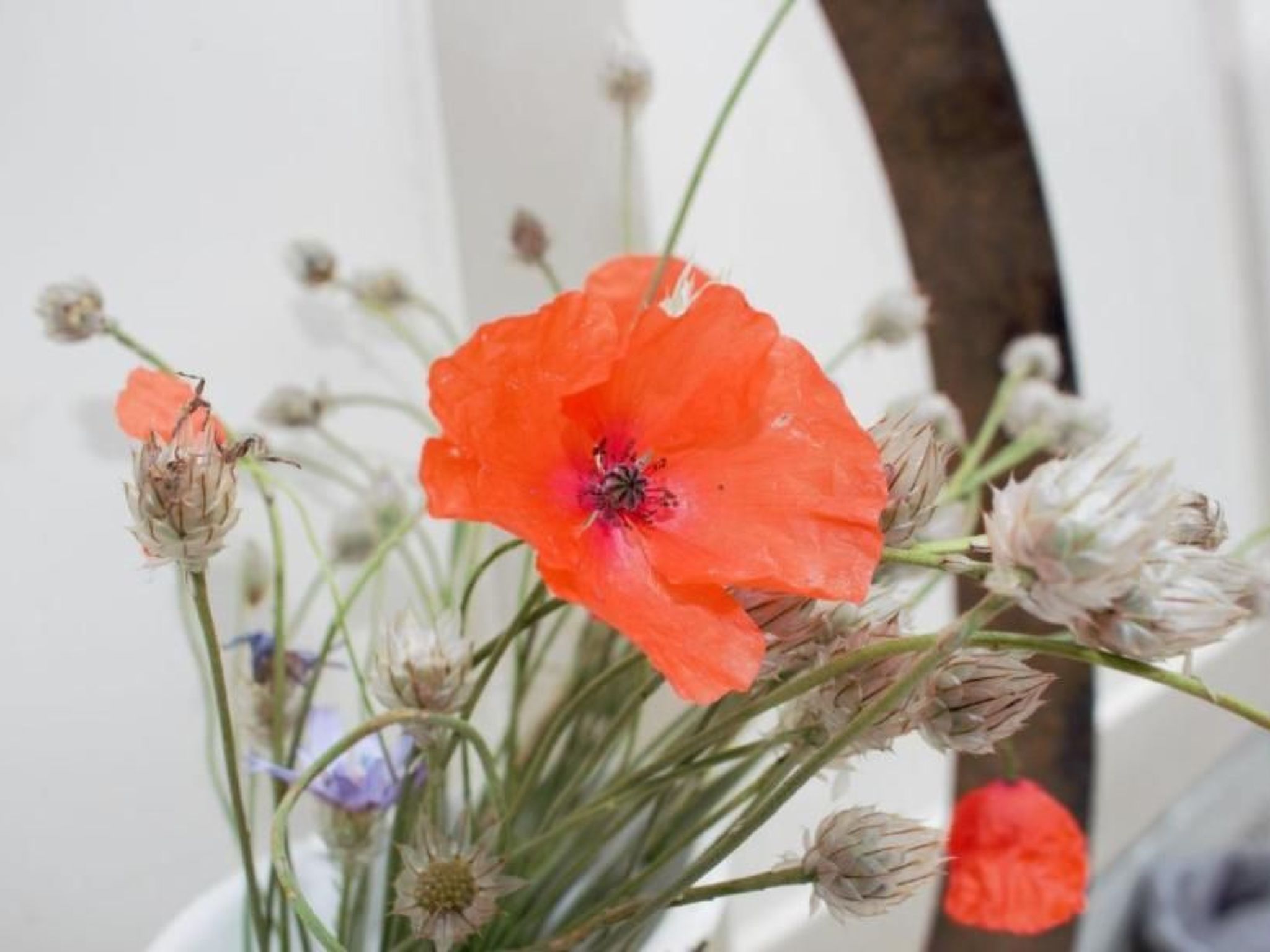 Verschlafen... in sanfte Hügel eingebettet.-Image-tags.info