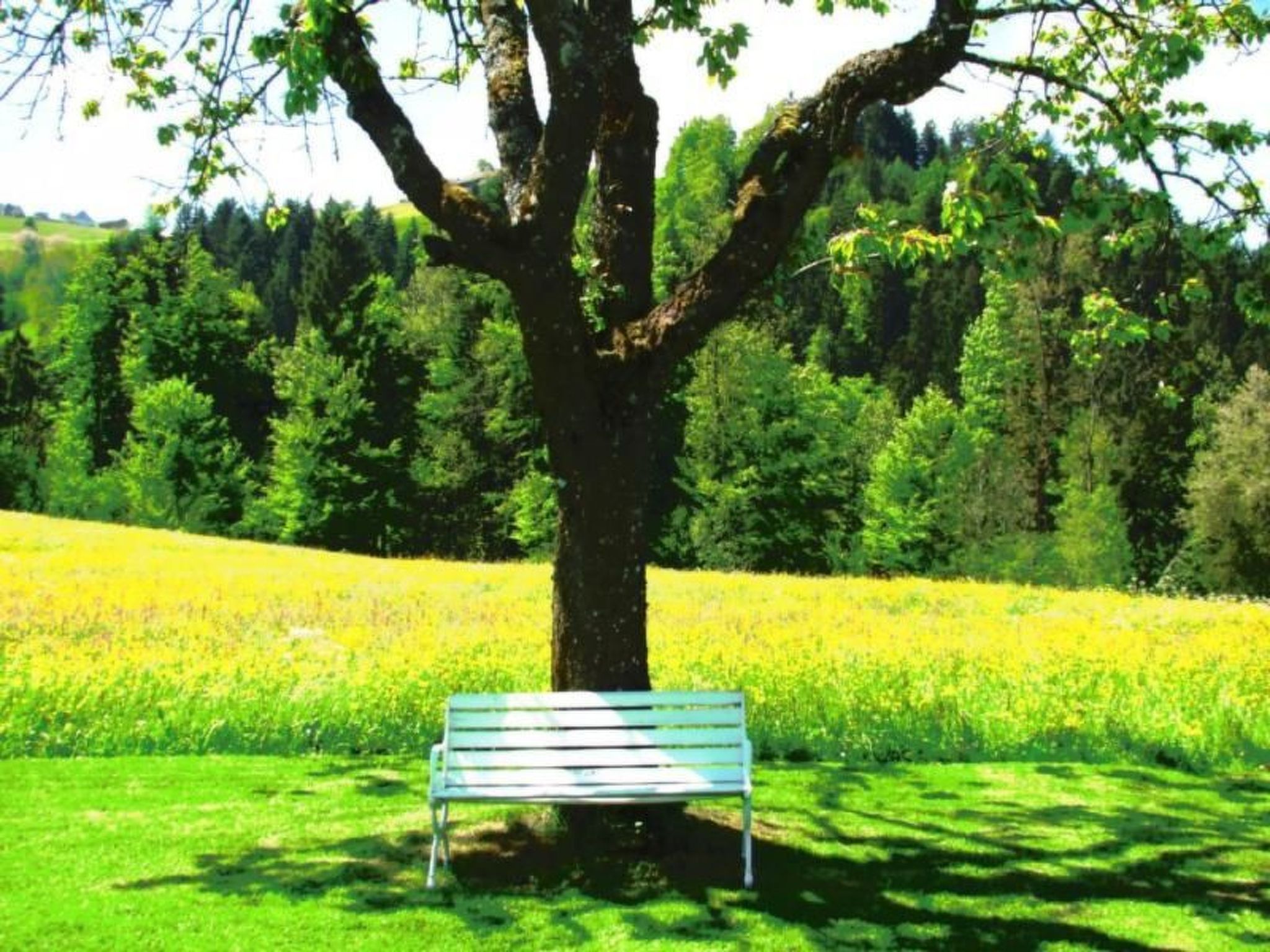 Verschlafen... in sanfte Hügel eingebettet.-Image-tags.info