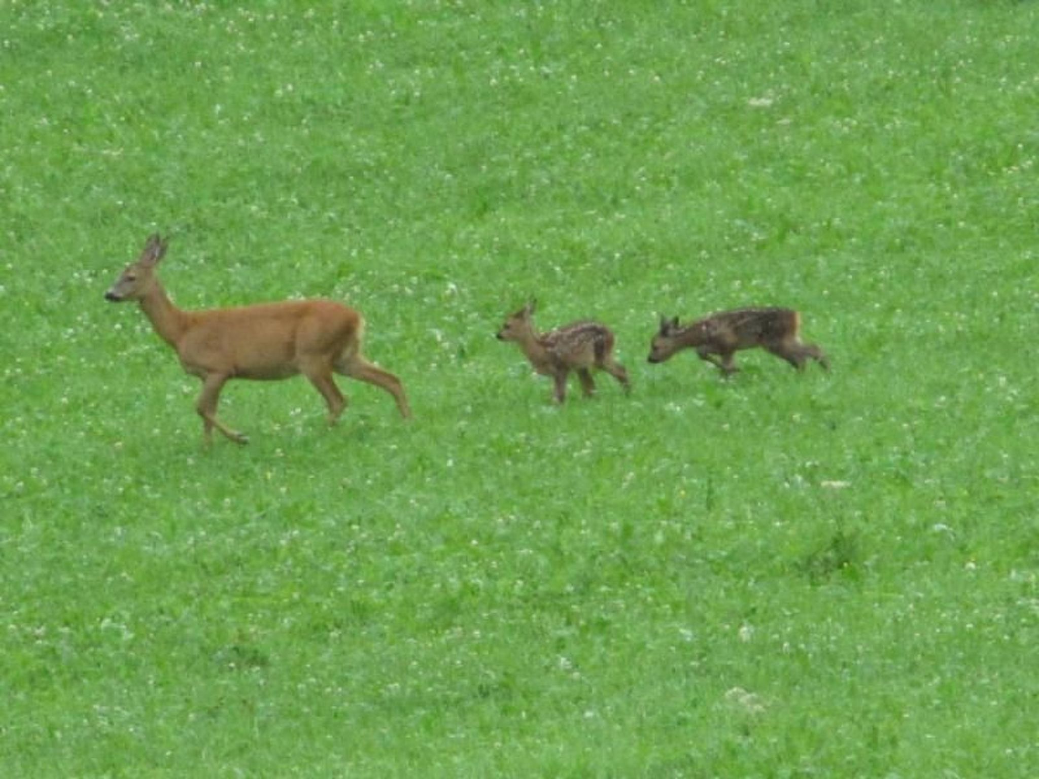 Verschlafen... in sanfte Hügel eingebettet.-Image-tags.info