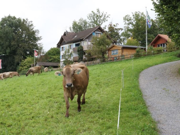 Panorama Blick