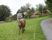 Panorama Blick