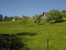 «Hüsli»