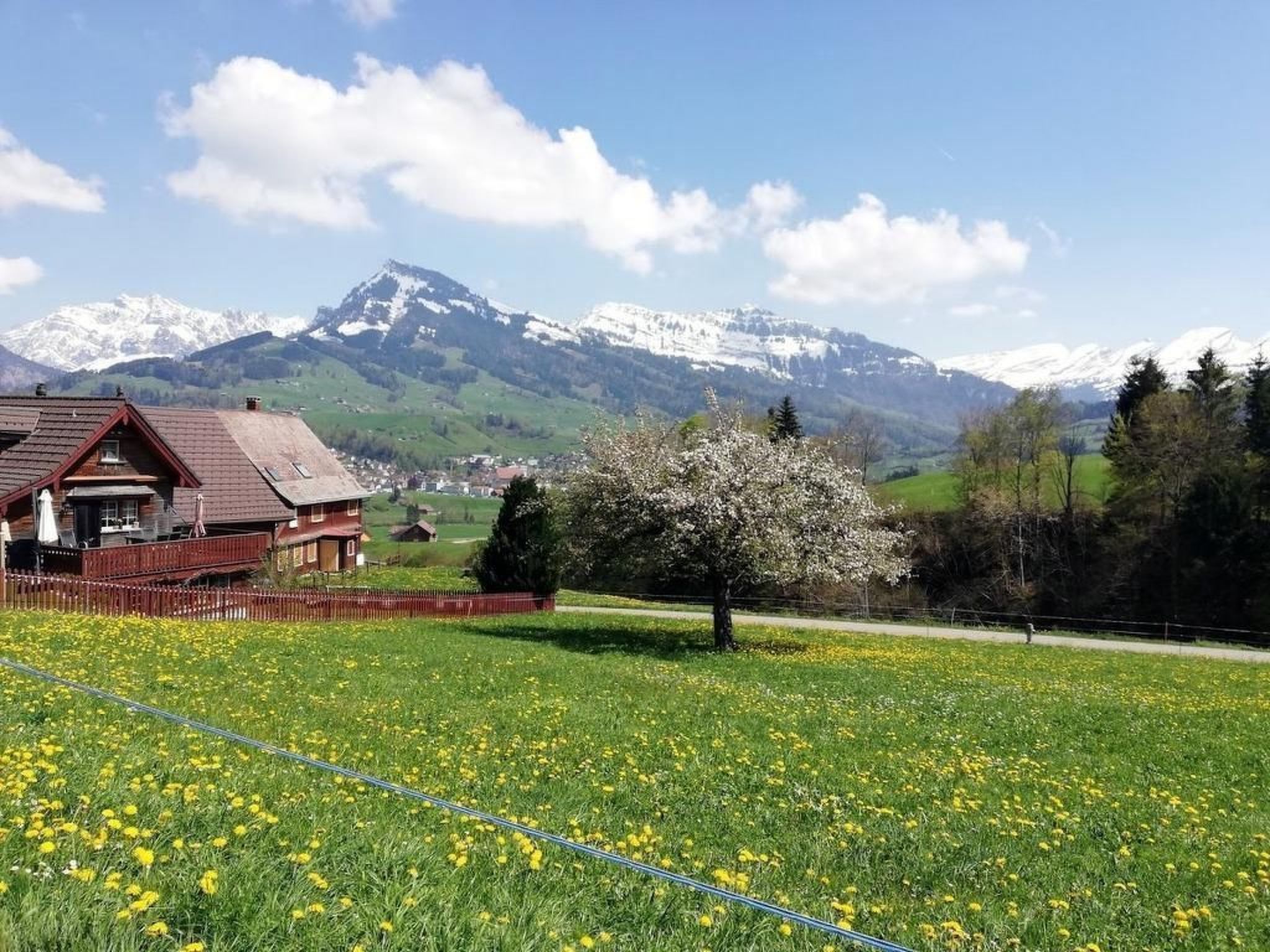 Gemütliche und geräumige Ferienwohnung-Draußen