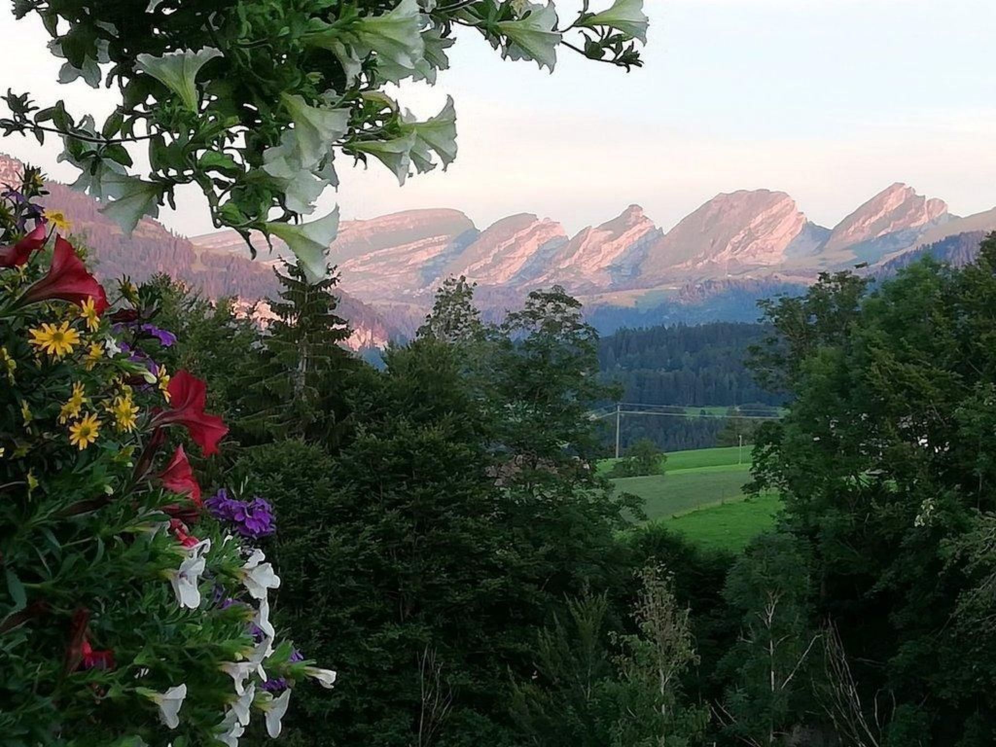 Gemütliche und geräumige Ferienwohnung-Draußen