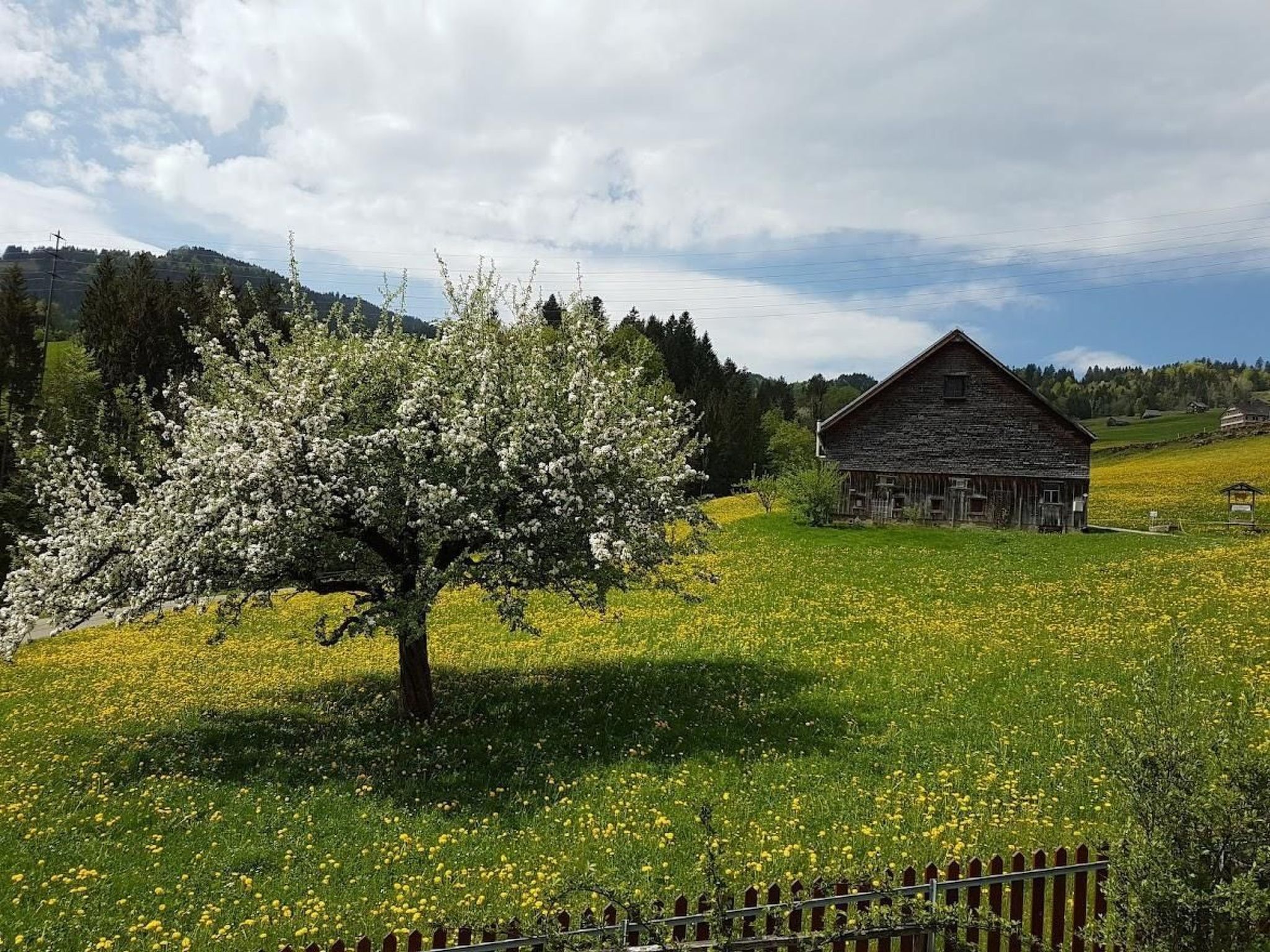 Gemütliche und geräumige Ferienwohnung-Draußen