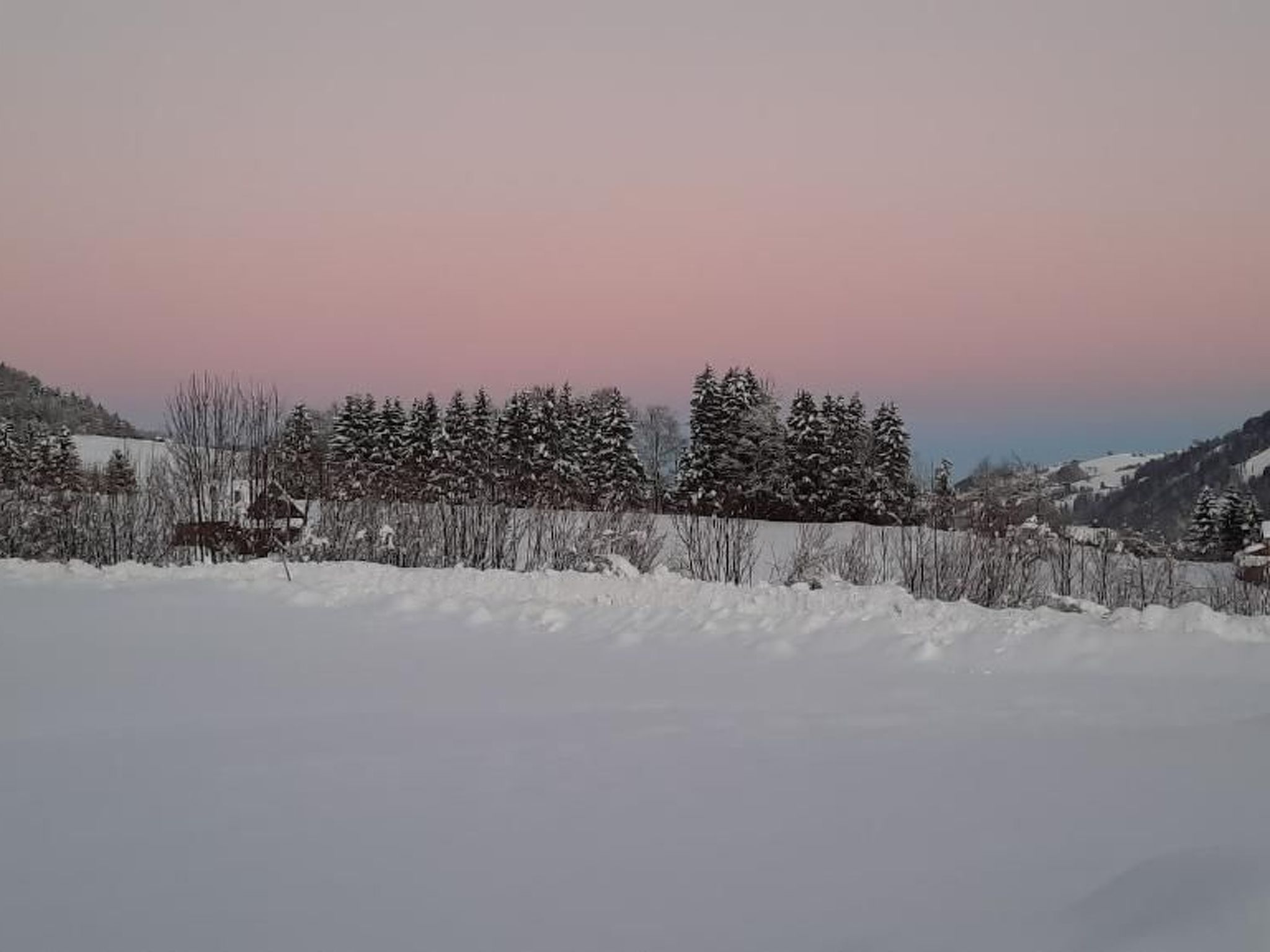 Gemütliche und geräumige Ferienwohnung-Draußen