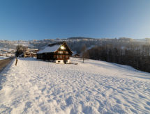 Ruim appartement in Nesslau met bergzicht, dicht bij meer en skipiste - thumbnail 1