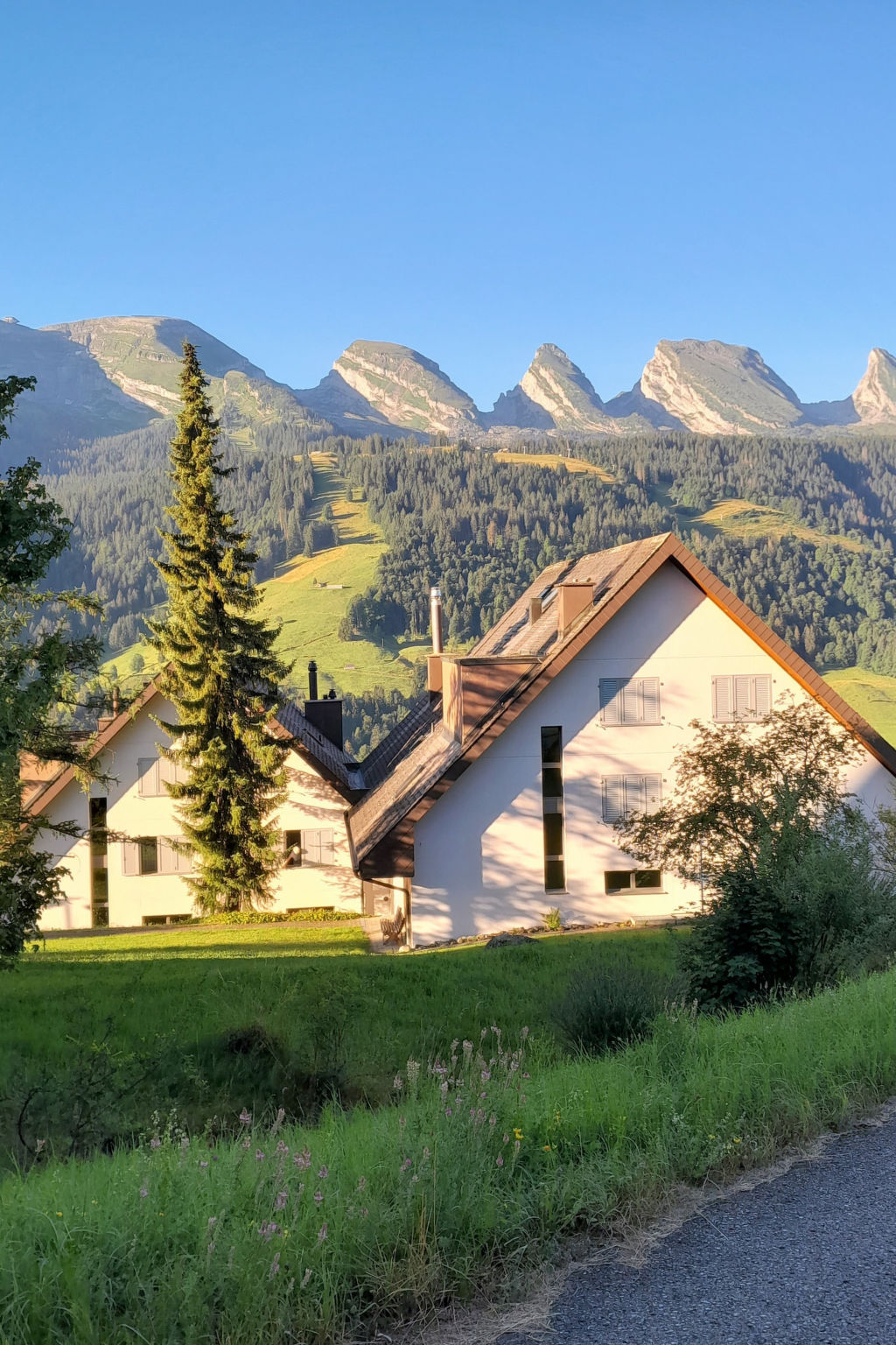 Vista Montagna