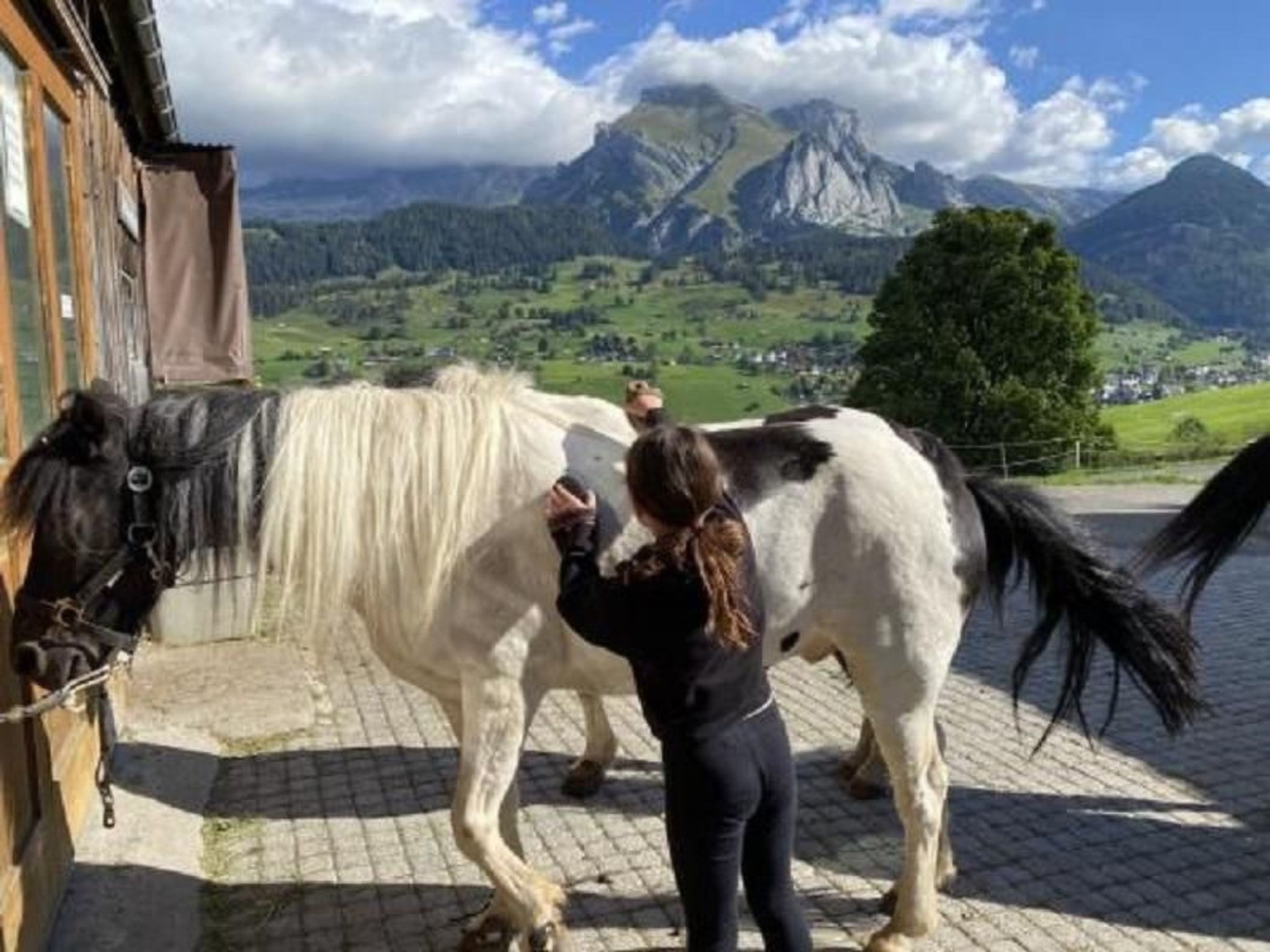 Chalet mit Garten, Grill und Terrasse-Image-tags.info