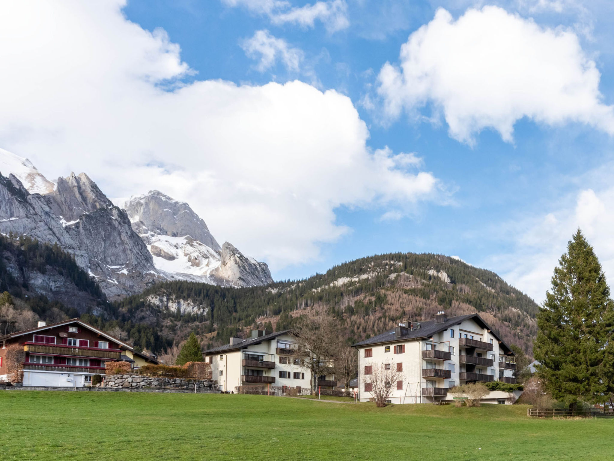 Schwalbennest