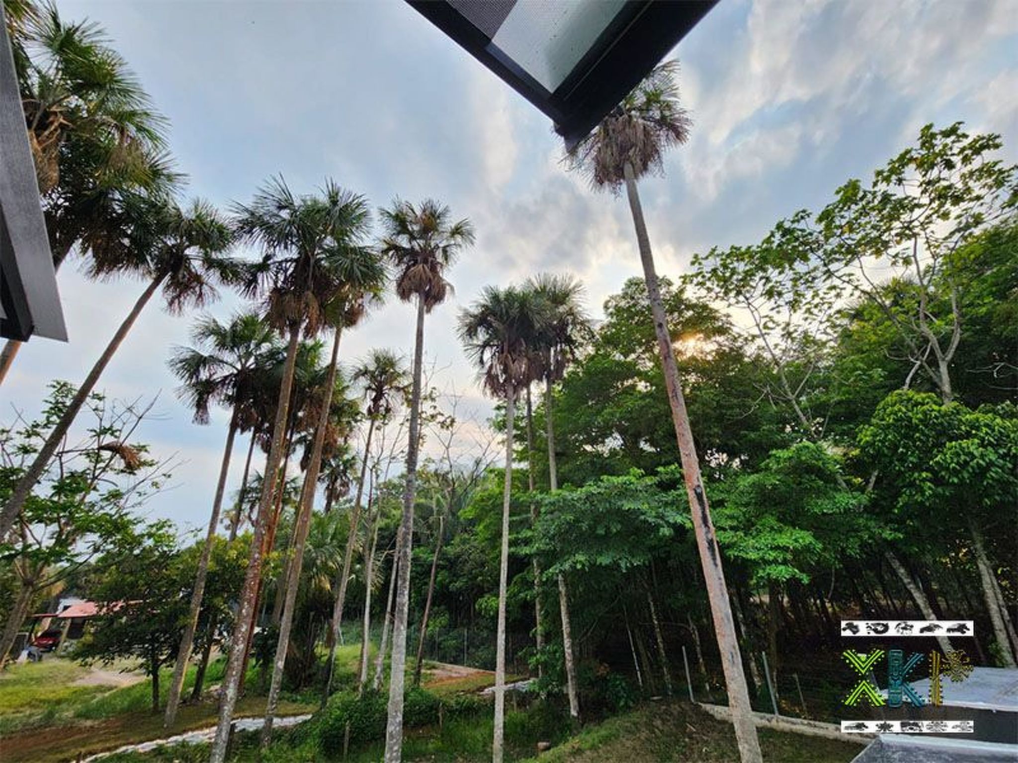 Encanto Llanero: Ruime finca met privézwembad in Villavicencio voor 16 personen - foto 12