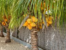Sfeervol appartement Charme am Hang in Jan Thiel · 2 pers. - thumbnail 5