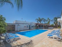 Vakantiehuis met open haard en privézwembad in Paralimni - thumbnail 3