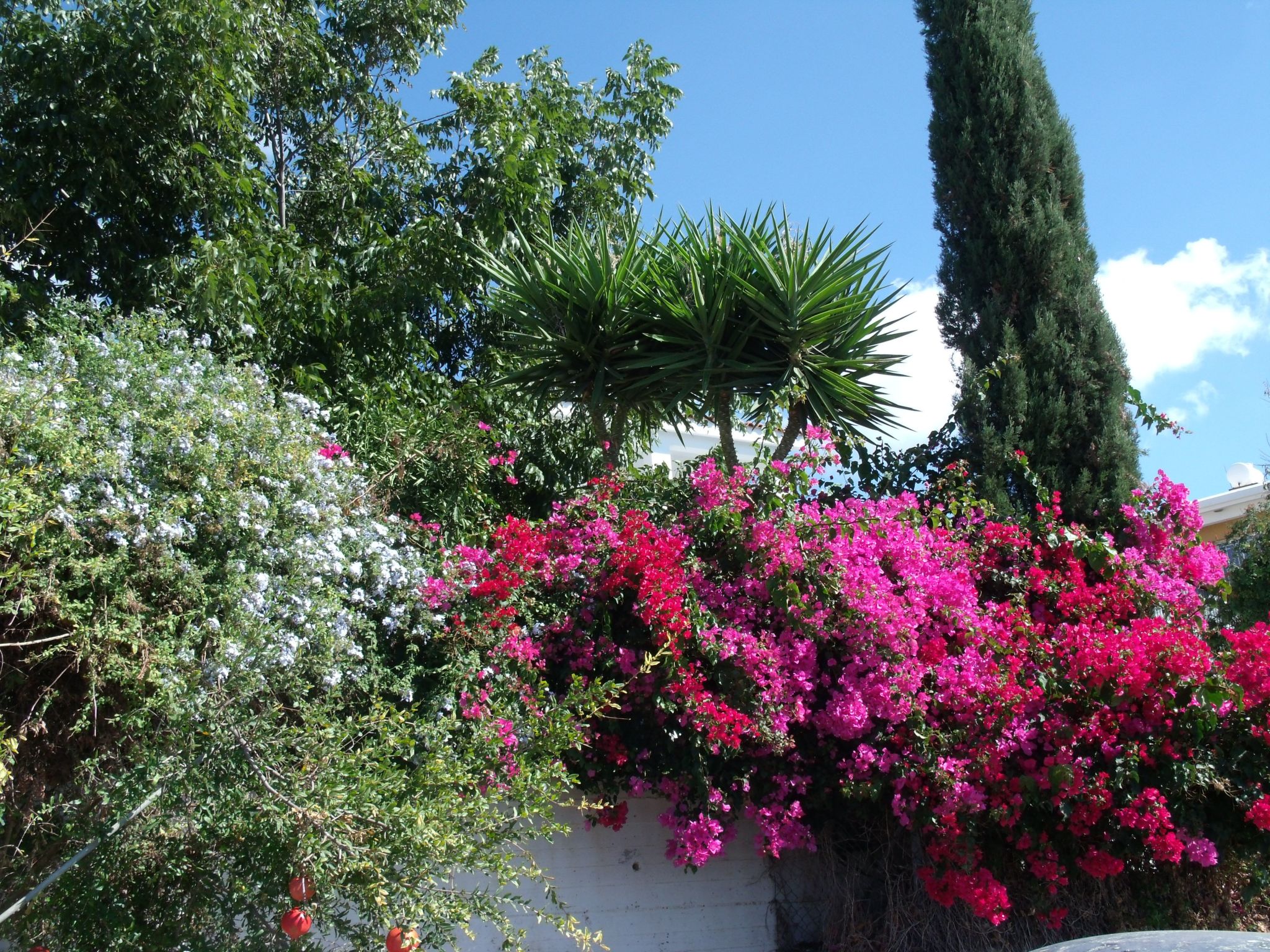 "Iptamena" mit Blick auf das Wasser-Binnen