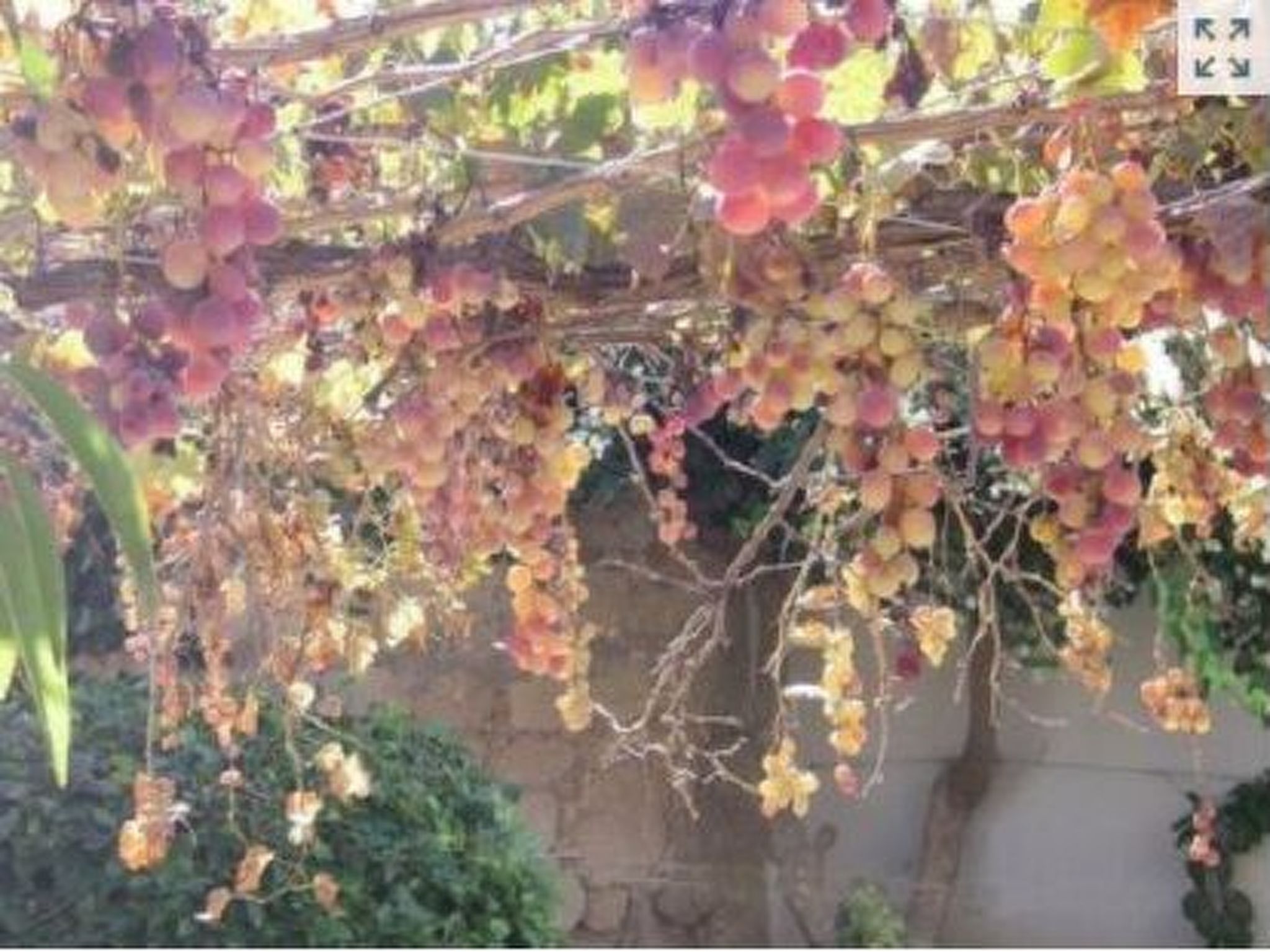 "Iptamena" mit Blick auf das Wasser-Binnen