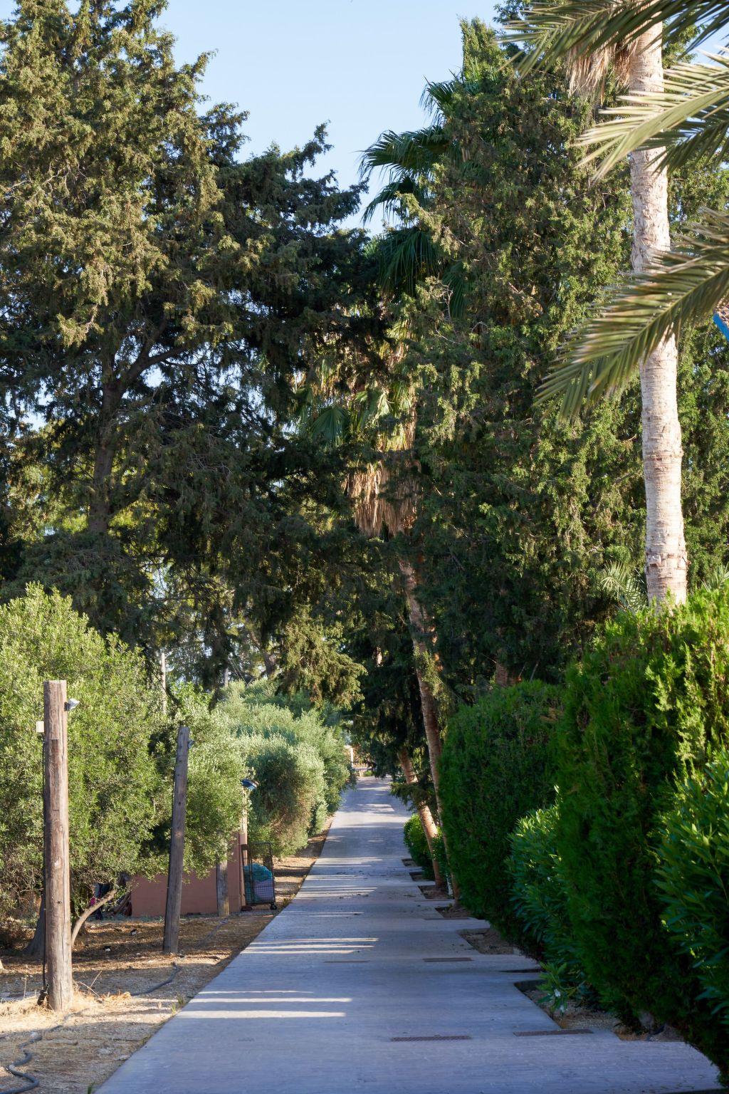 In Polis Chrysochous mit Offenem Kamin-Binnen
