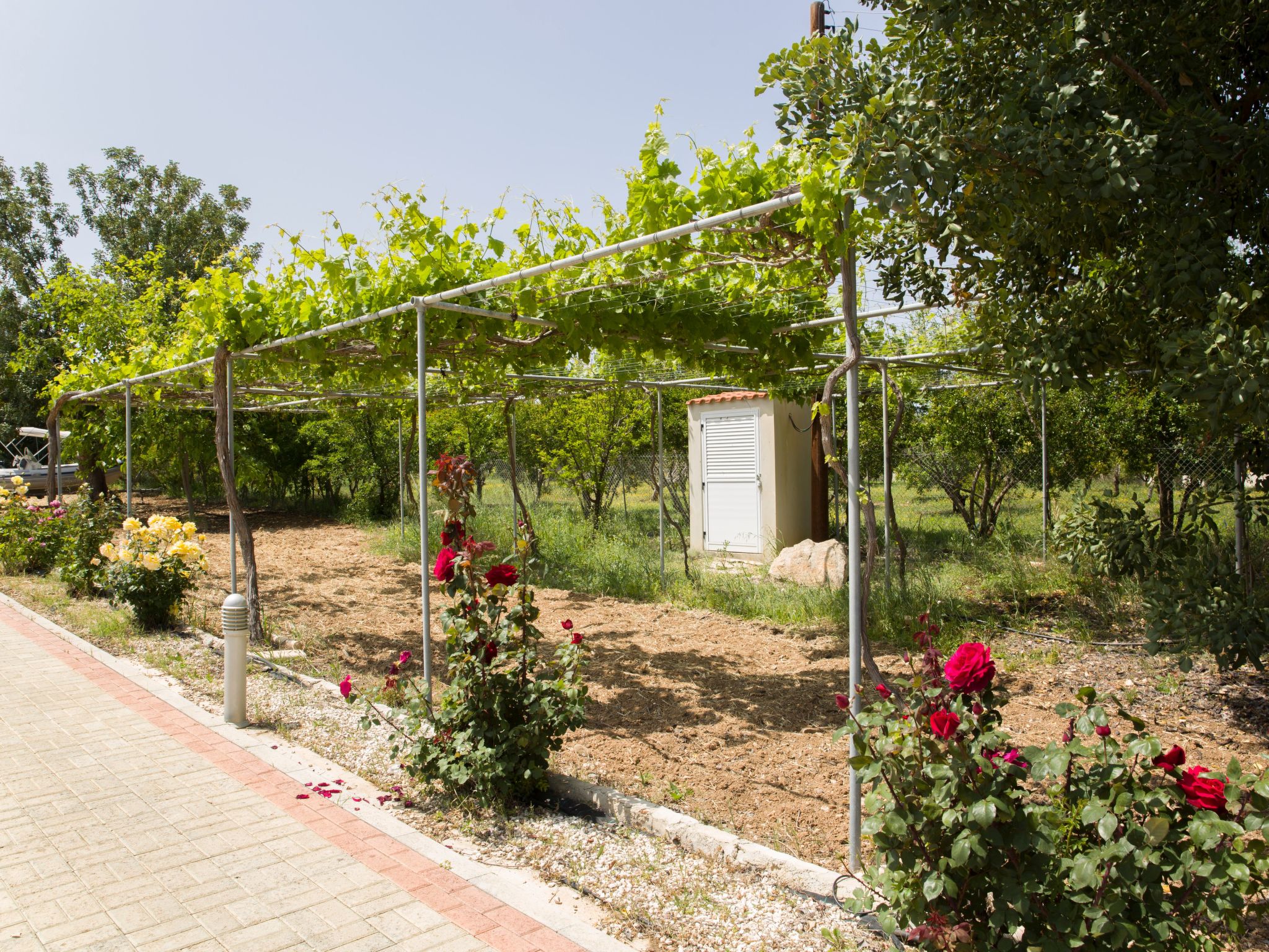 Mit Privatpool für 8 Personen ca. 220 m&sup2; in Neo Chorio, Halbinsel Akamas