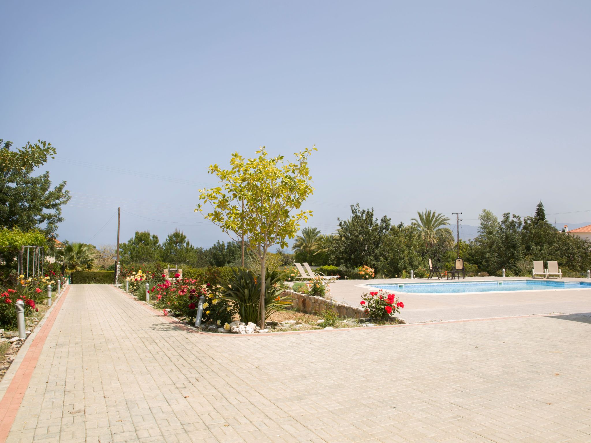 mit Privatpool für 8 Personen ca. 220 m&sup2; in Neo Chorio, Halbinsel Akamas — Pool Outdoor (2 of 38)