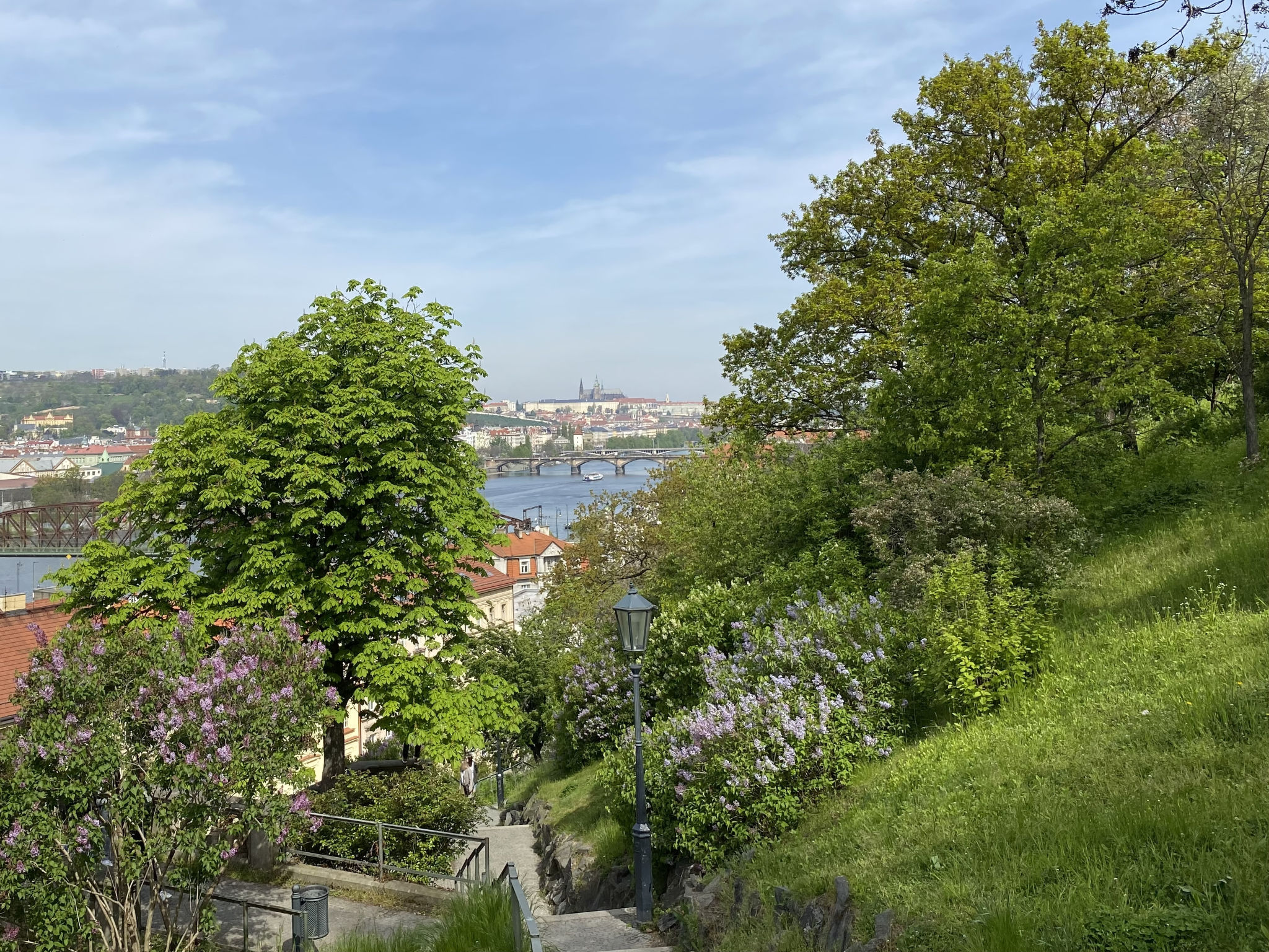 Photo of Hodkovičky