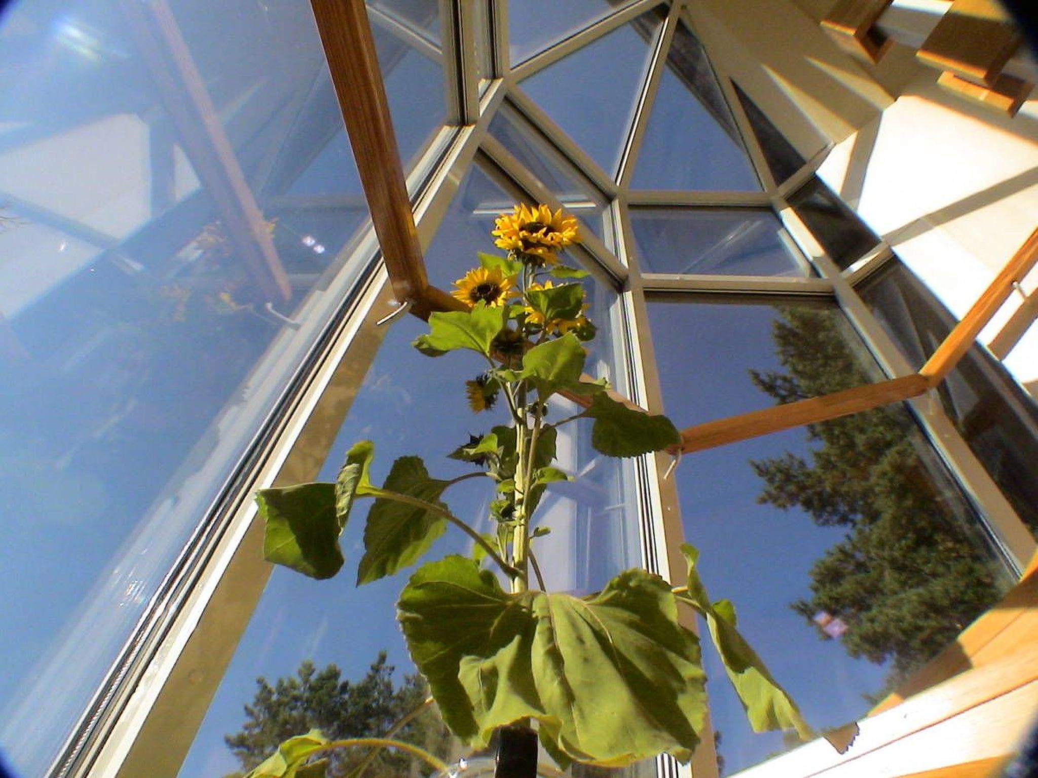 Wellness Ferienhaus Branzez mit Innenpool, Sauna..-Binnen