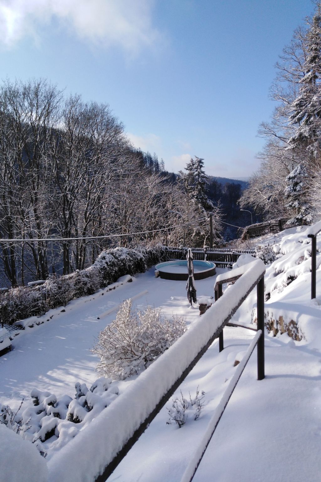 Jagd auf Ldoge-Image-tags.info