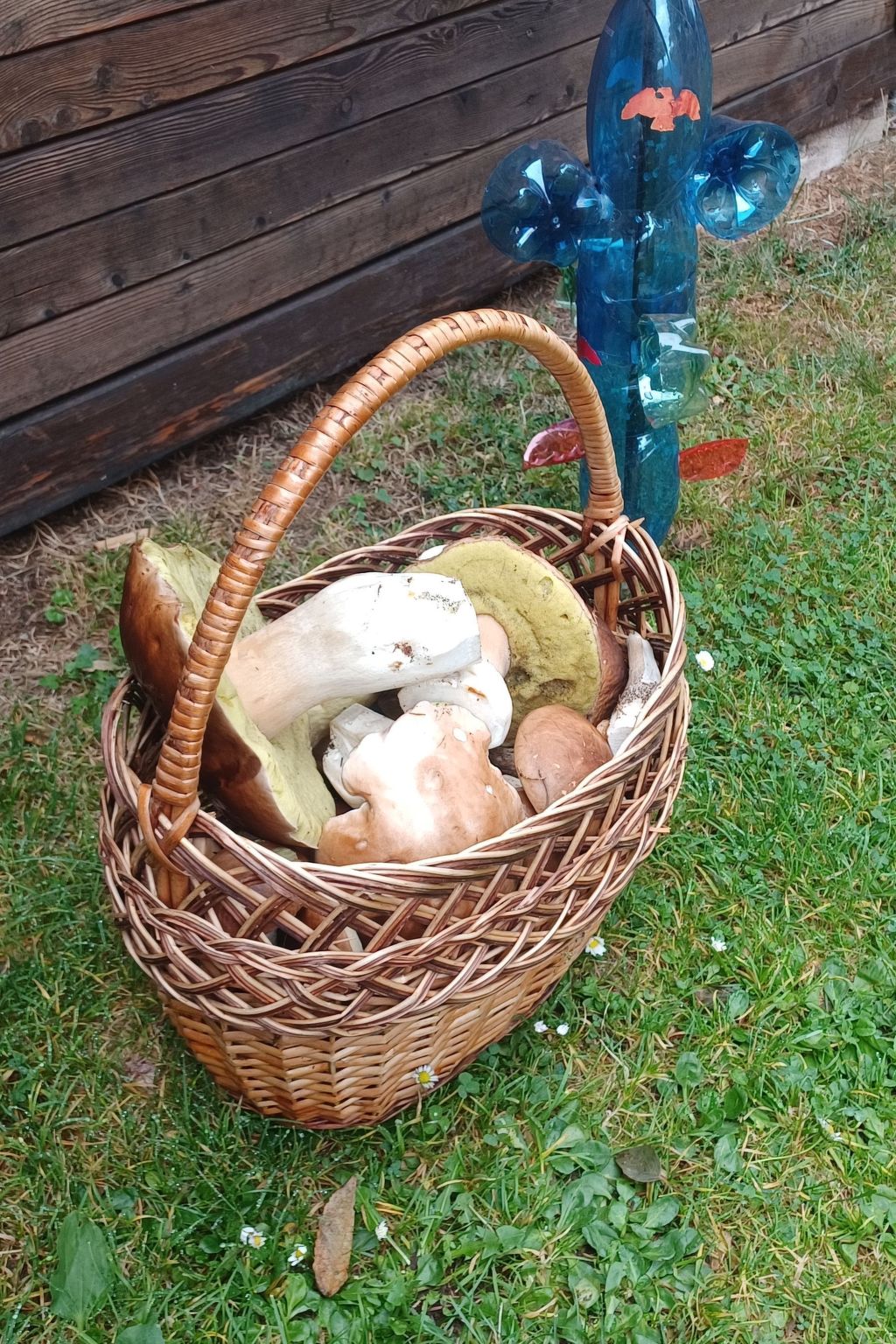 Pension Marianska-Image-tags.info