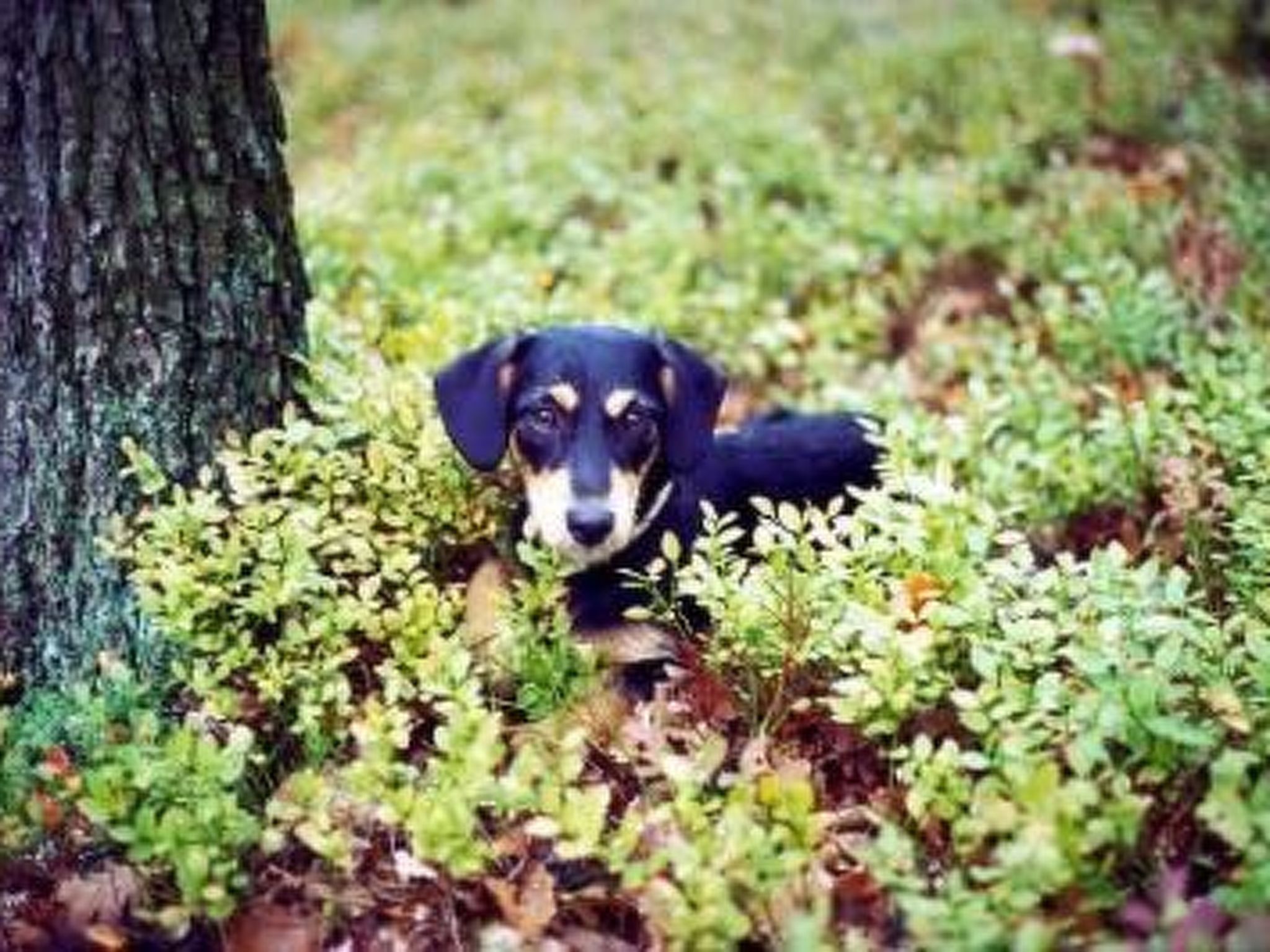 Unknown Accommodation-Inside