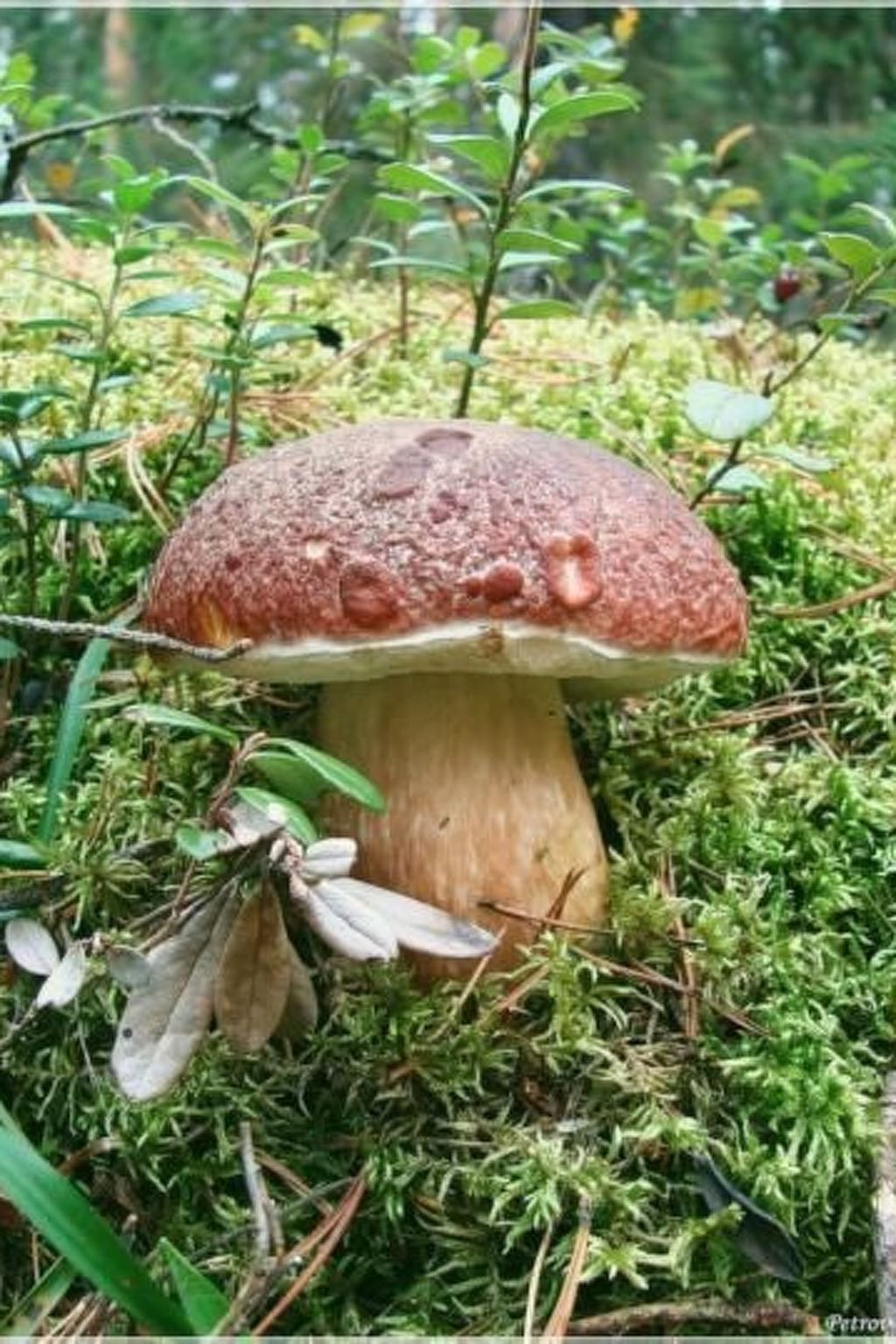 Unknown Accommodation-Inside