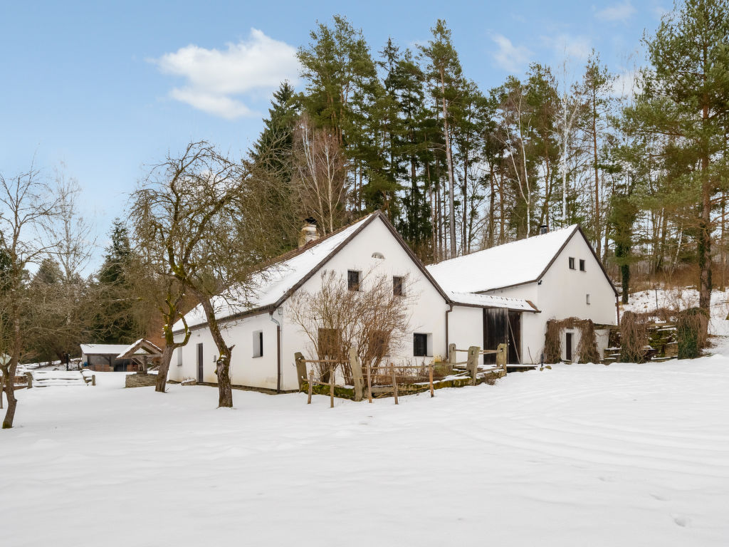 Ferienhaus Bene?ov nad Cernou Ferienhaus 