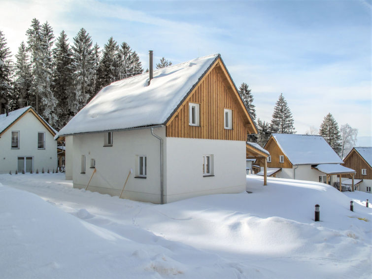 Search and Stay destination Frymburk, Jihočeský kraj - Czechia from AU$ 472. Lakeside Village 28 (+ sauna)