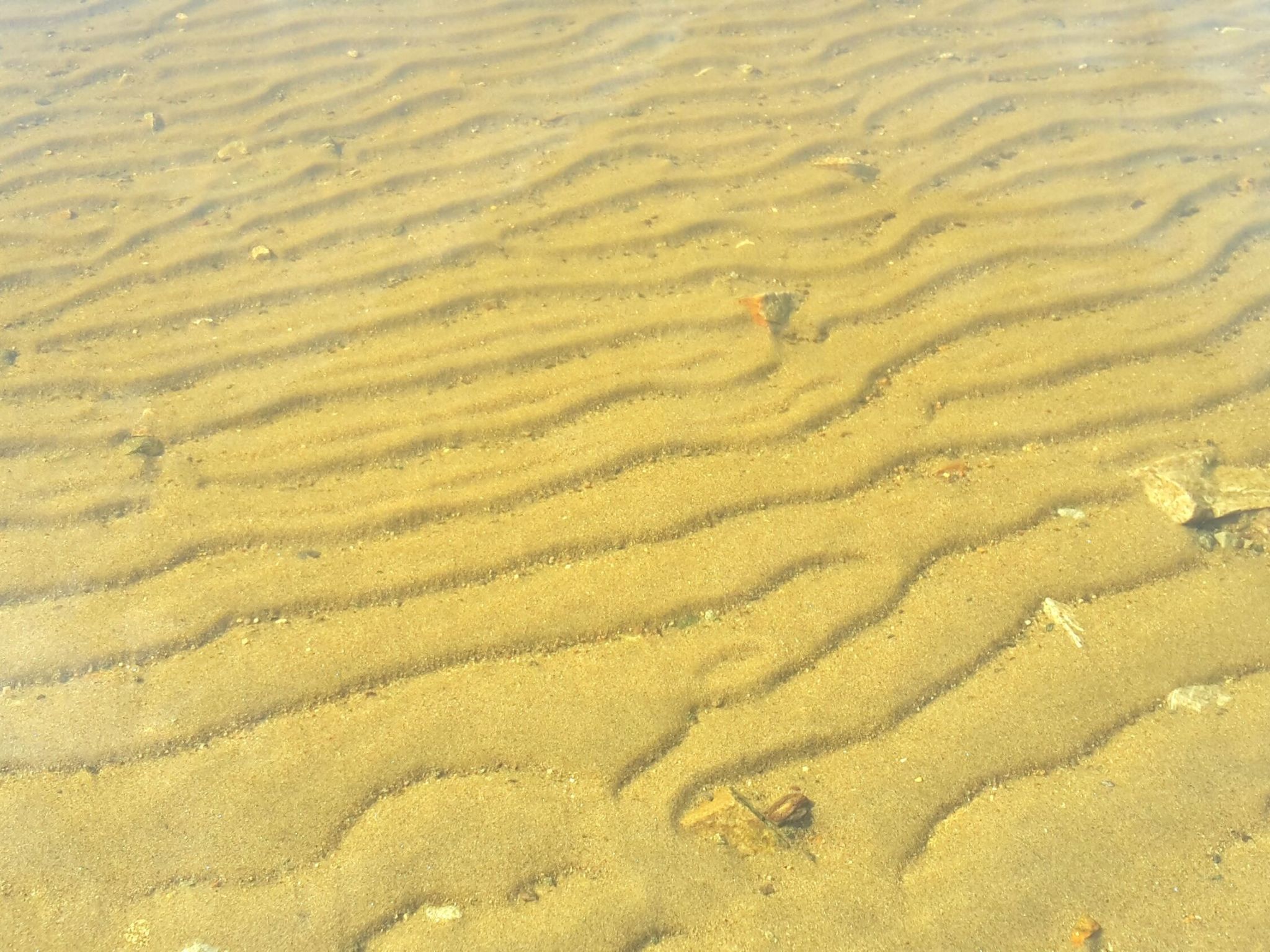 Haus Laura, Frymburk-Inside