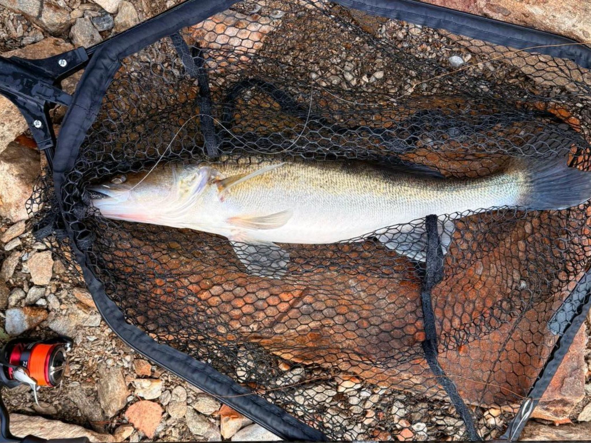 Haus Laura, Frymburk-Inside