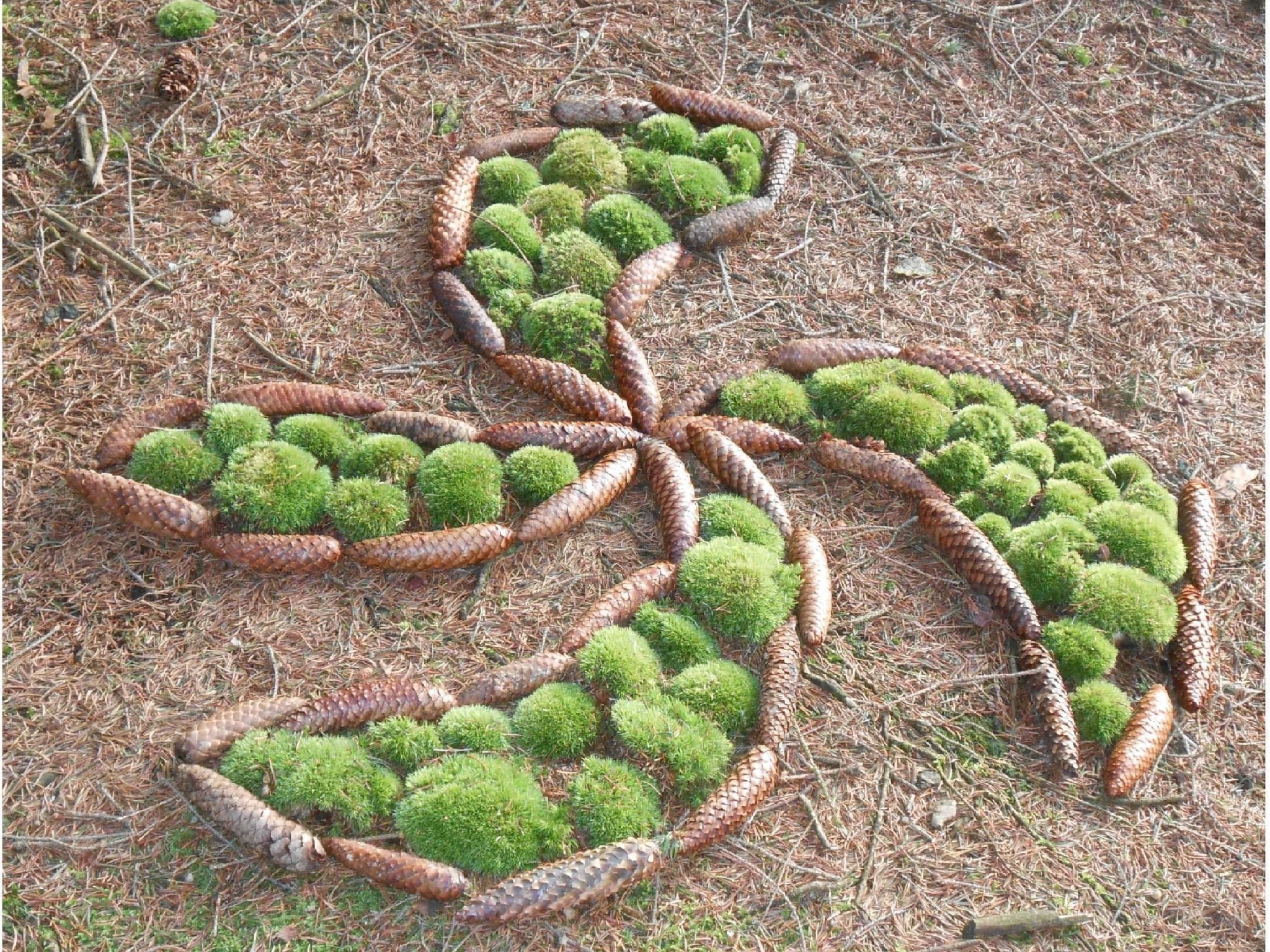 Haus Laura, Frymburk-Inside