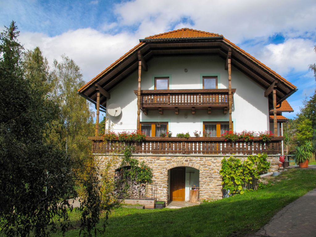 Vakantiehuis Kralovice in Tsjechië