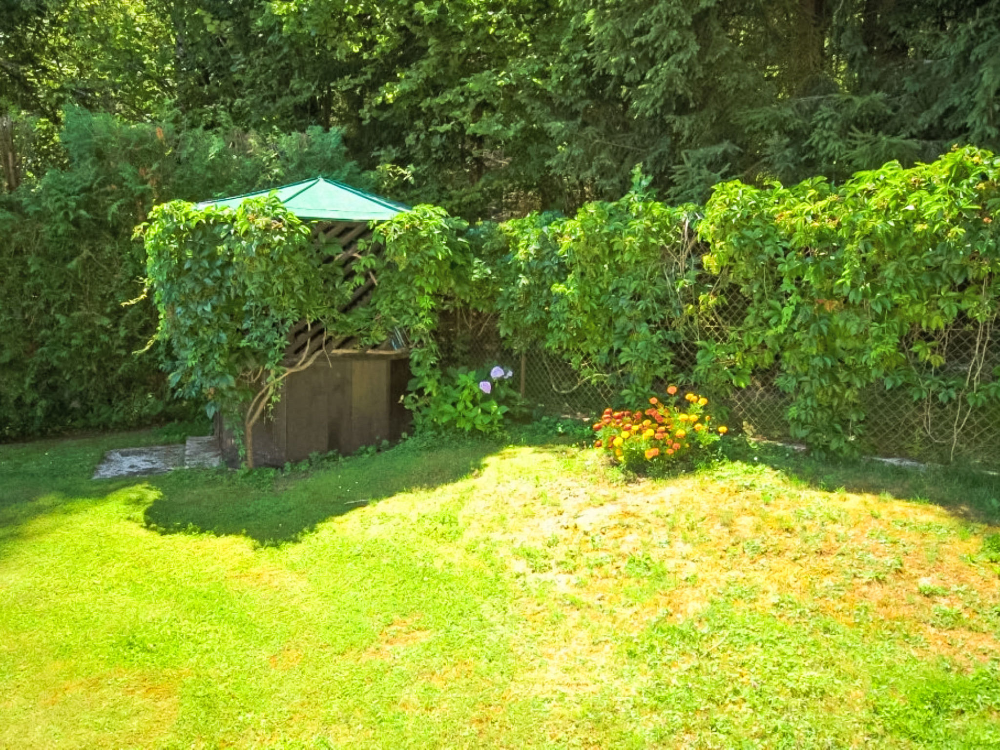 Forestside Villa - Outside