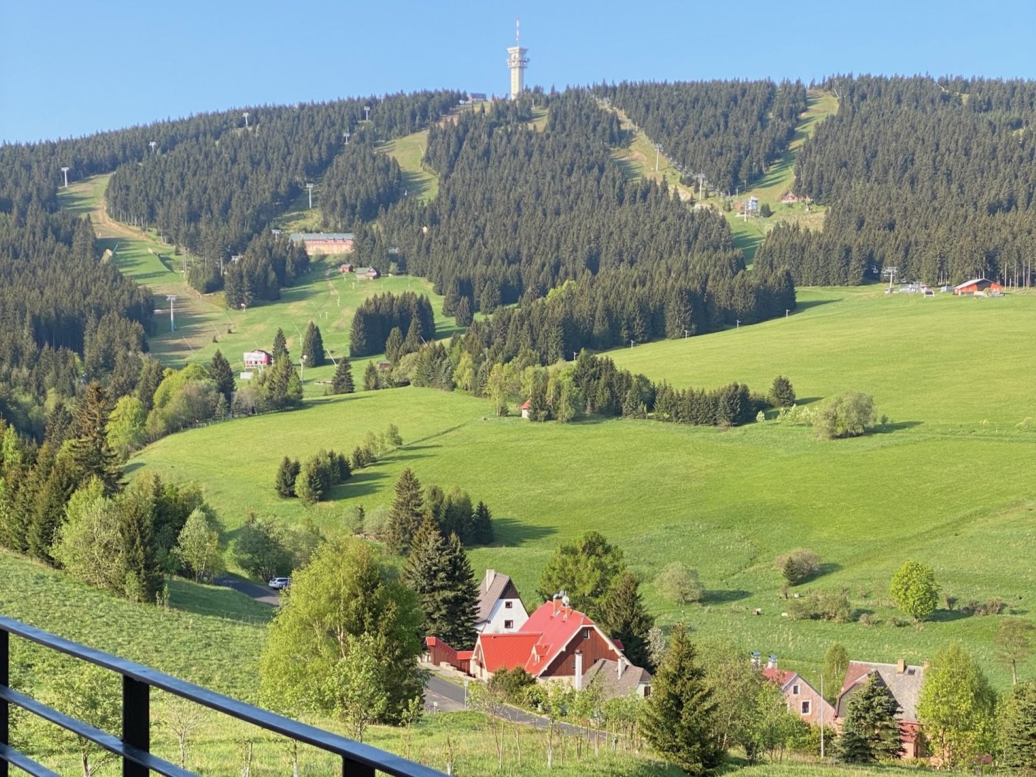 Enzian-Draußen
