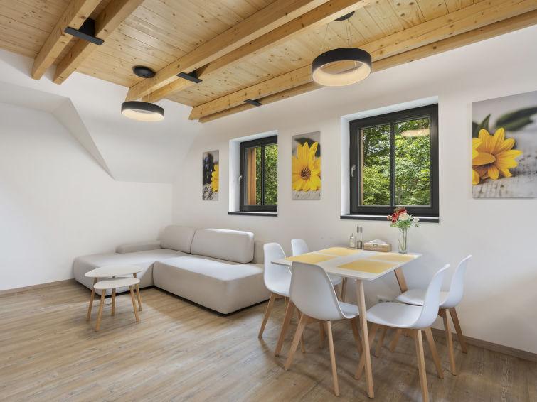 6-persoons modern appartement in Bedrichov op 800m van de piste