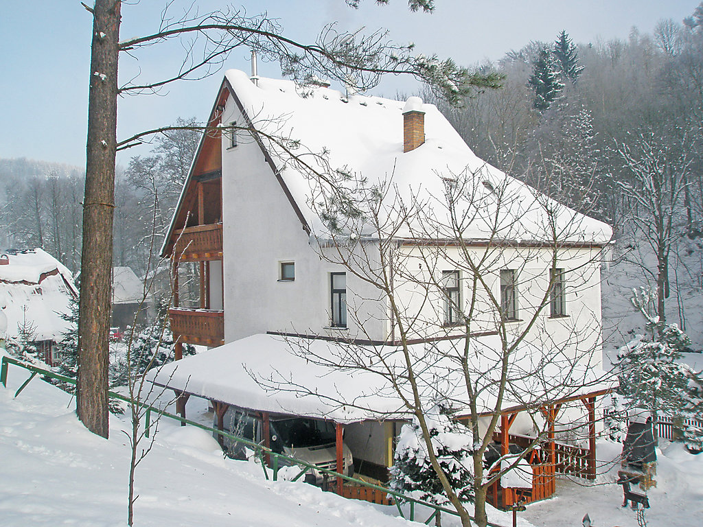 Ferienhaus Zlata Olesnice Ferienhaus  Nordböhmen