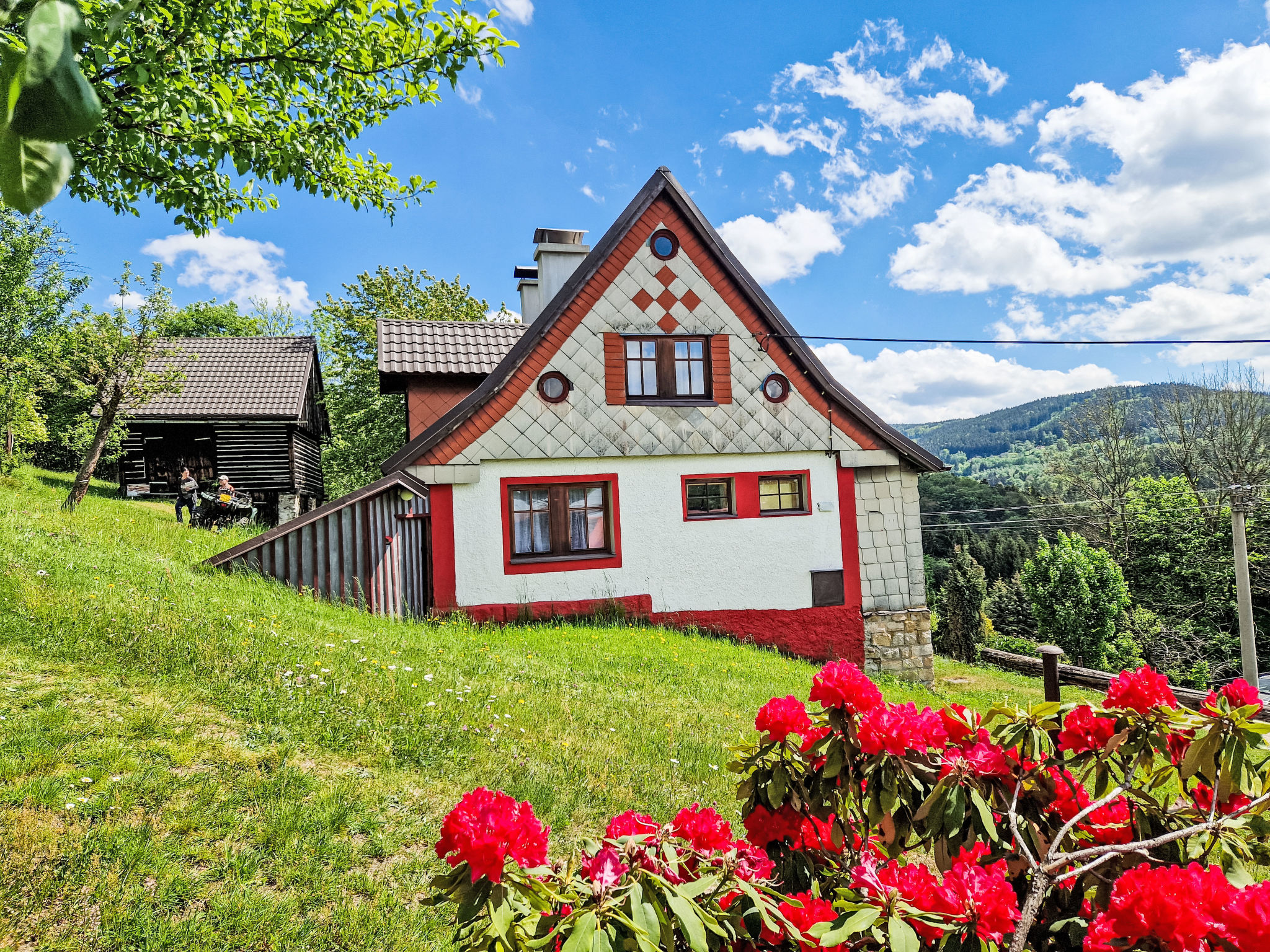 4-kamers cottage. Rustiek en met veel hout ingericht: woonkamer met 1 divanbed, zwedenkachel, eettafel en TV. Keuken (oven, 4 keramische glas kookplaten, broodrooster, waterkoker, magnetron, diepvriez..
