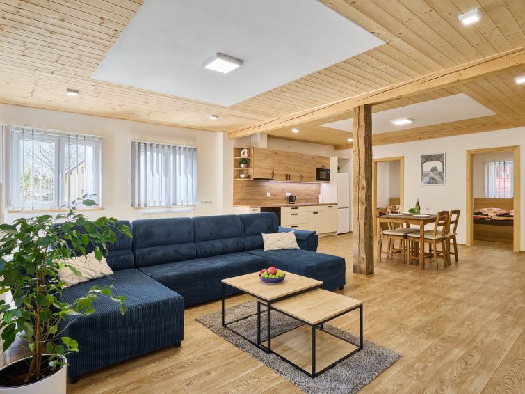 Modern appartement U Dzina in Desná v Jizerských horách in Desná v Jizerských horách