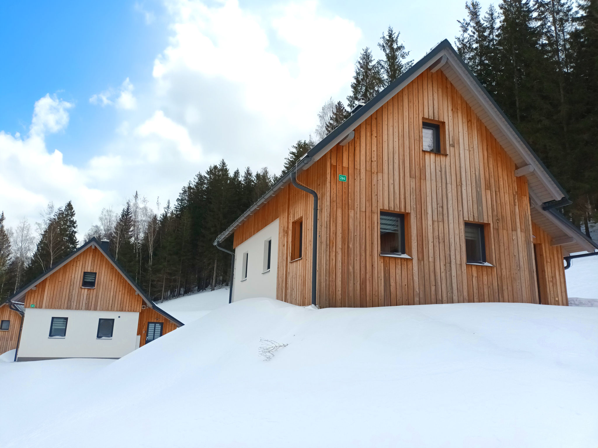 Vrijstaand chalet U lesa in Smržovka voor 5 personen - foto 42