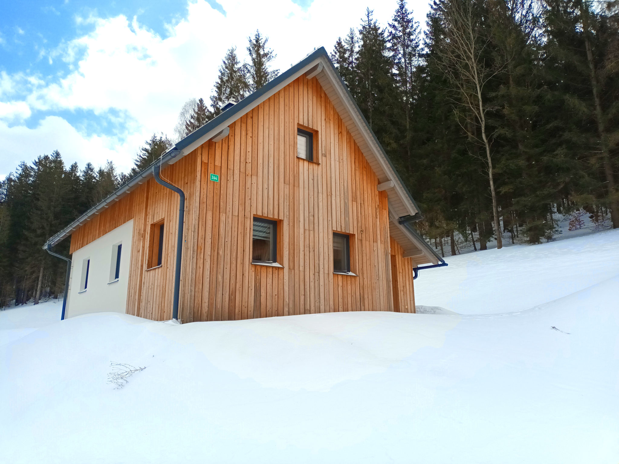 Vrijstaand chalet U lesa in Smržovka voor 5 personen - foto 43