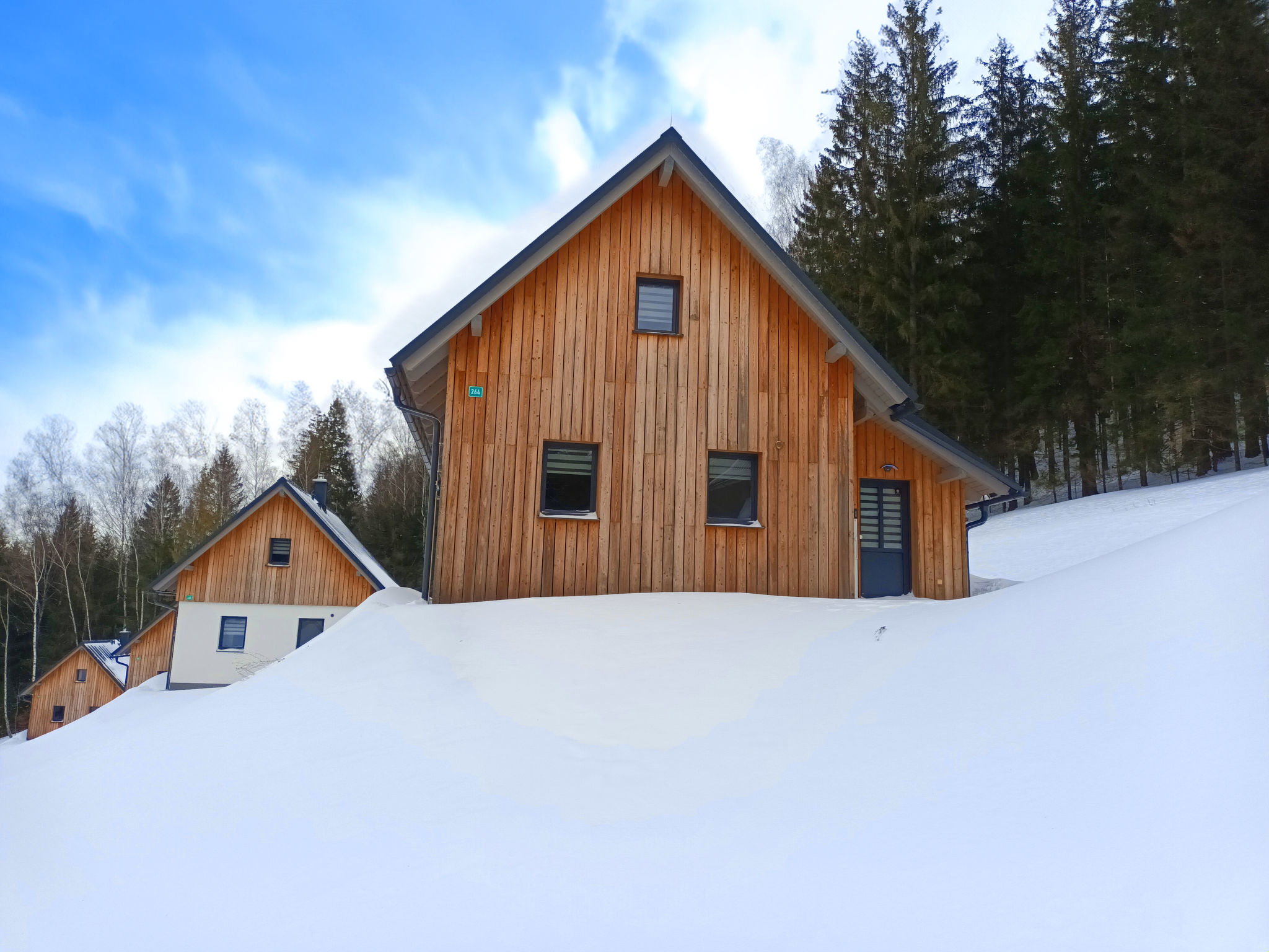 Vrijstaand chalet U lesa in Smržovka voor 5 personen - foto 44