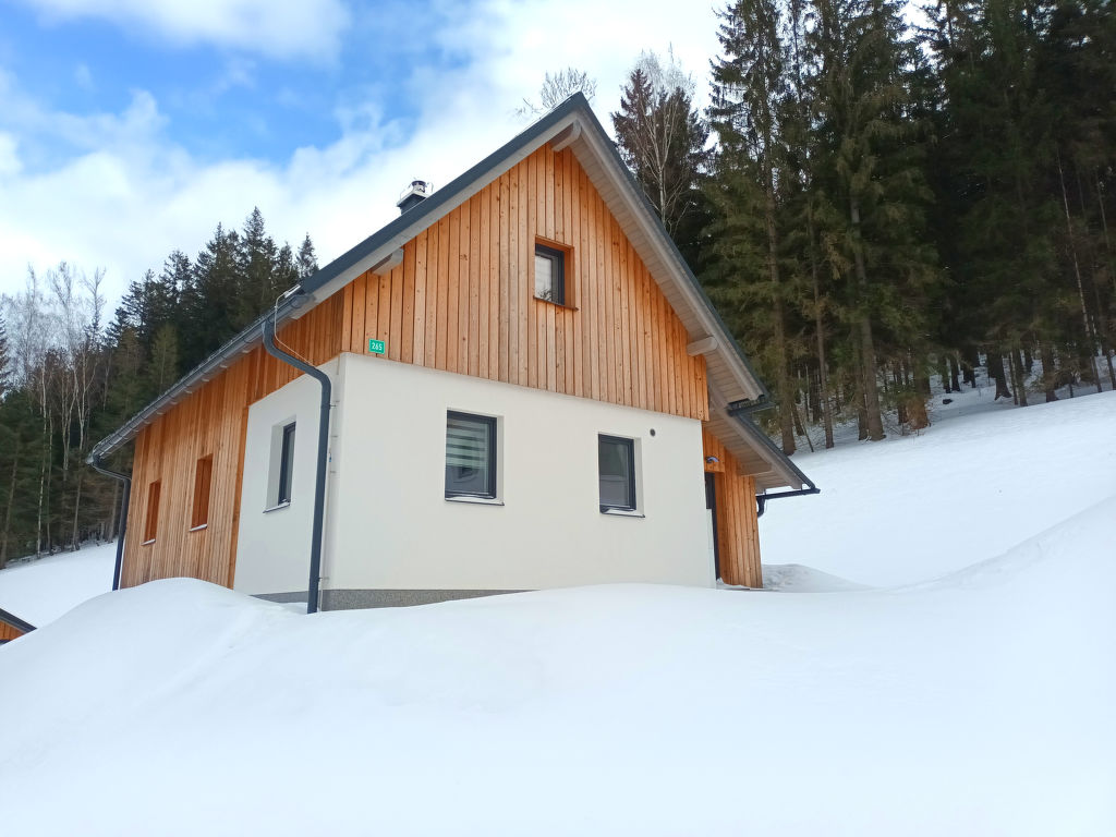 Interhome Pod lesem