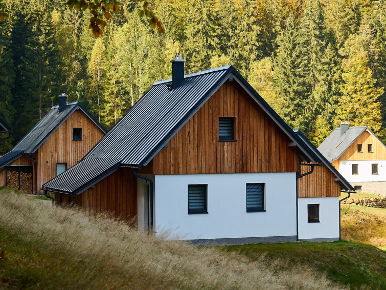 3-Zimmer-Haus. Grosses Wohnzimmer mit Schwedenofen, Esstisch, Sat-TV und Stereoanlage. Ausgang zur Terrasse. Kochnische (Geschirrspüler, 4 Glaskeramikherd Platten, Toaster, Wasserkocher, Tiefkühler,..