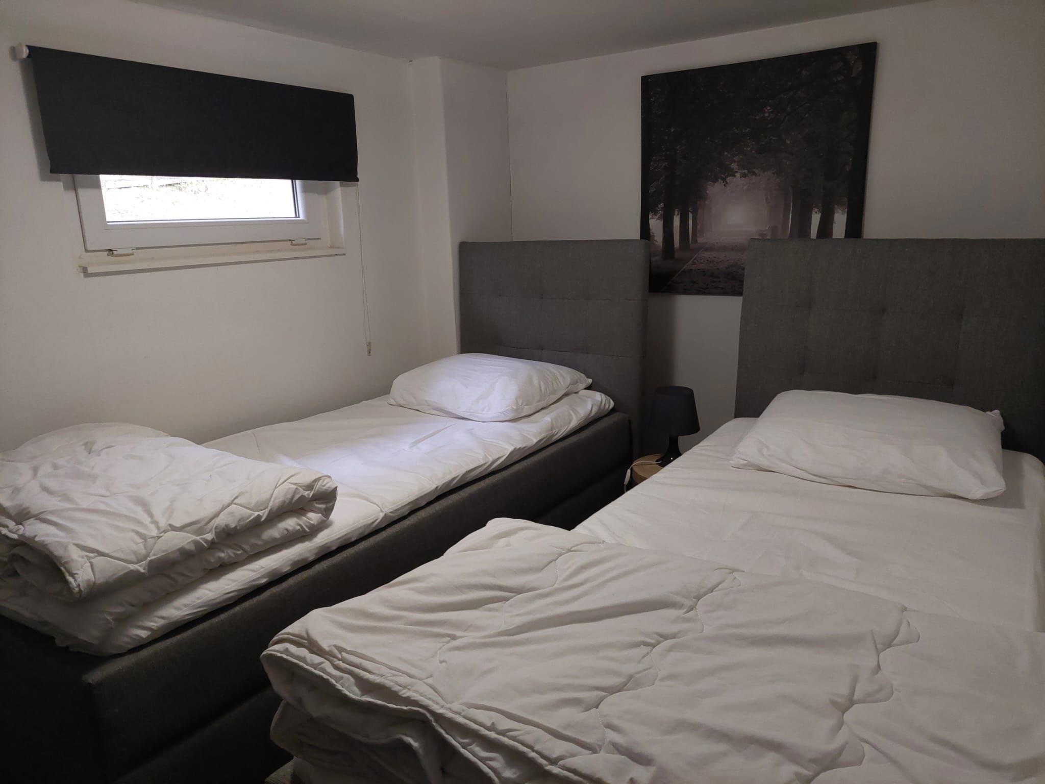 In natürlicher Umgebung-Binnen