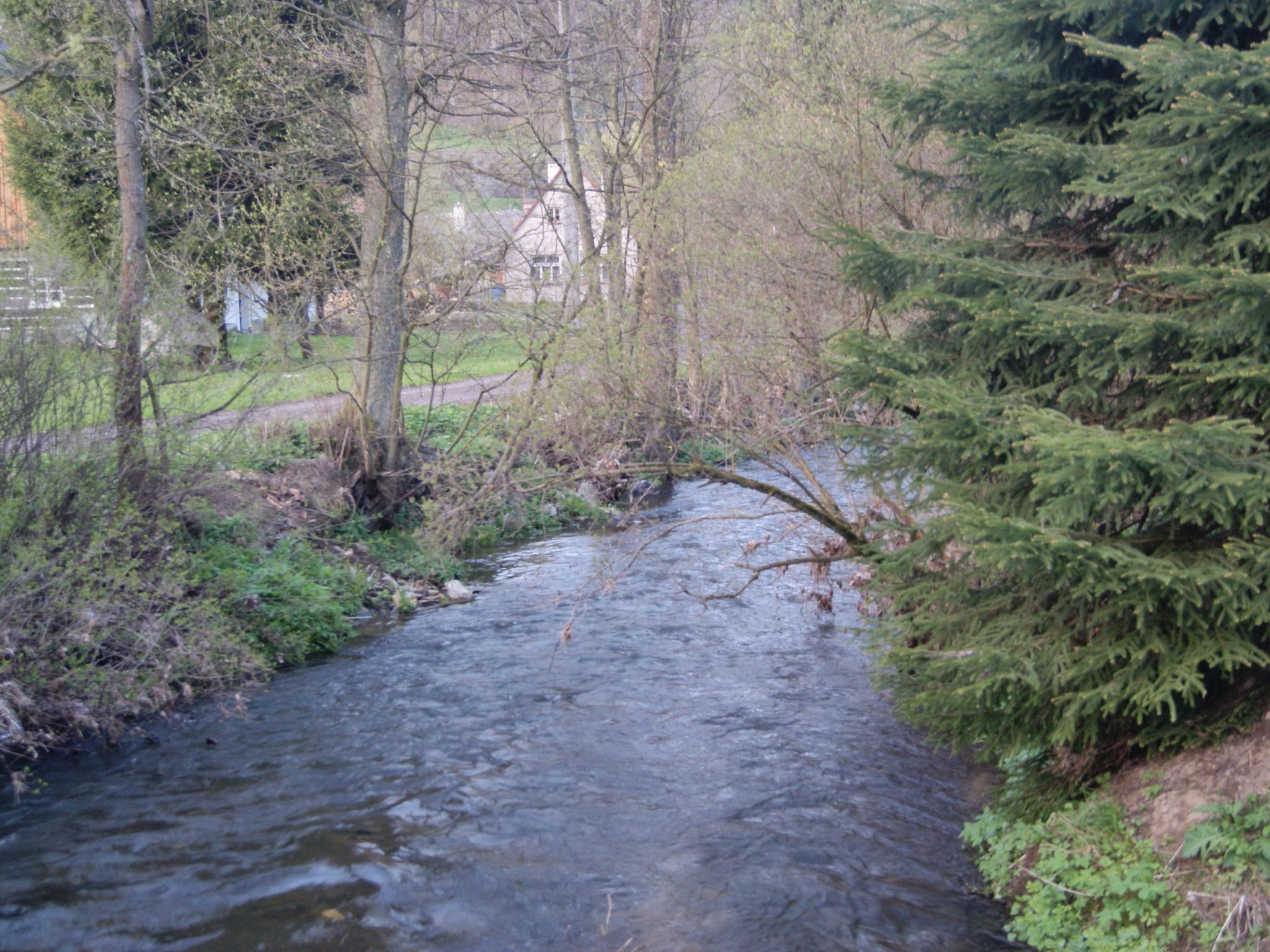 In natürlicher Umgebung-Binnen