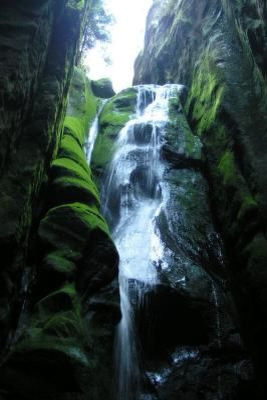 In natürlicher Umgebung-Binnen